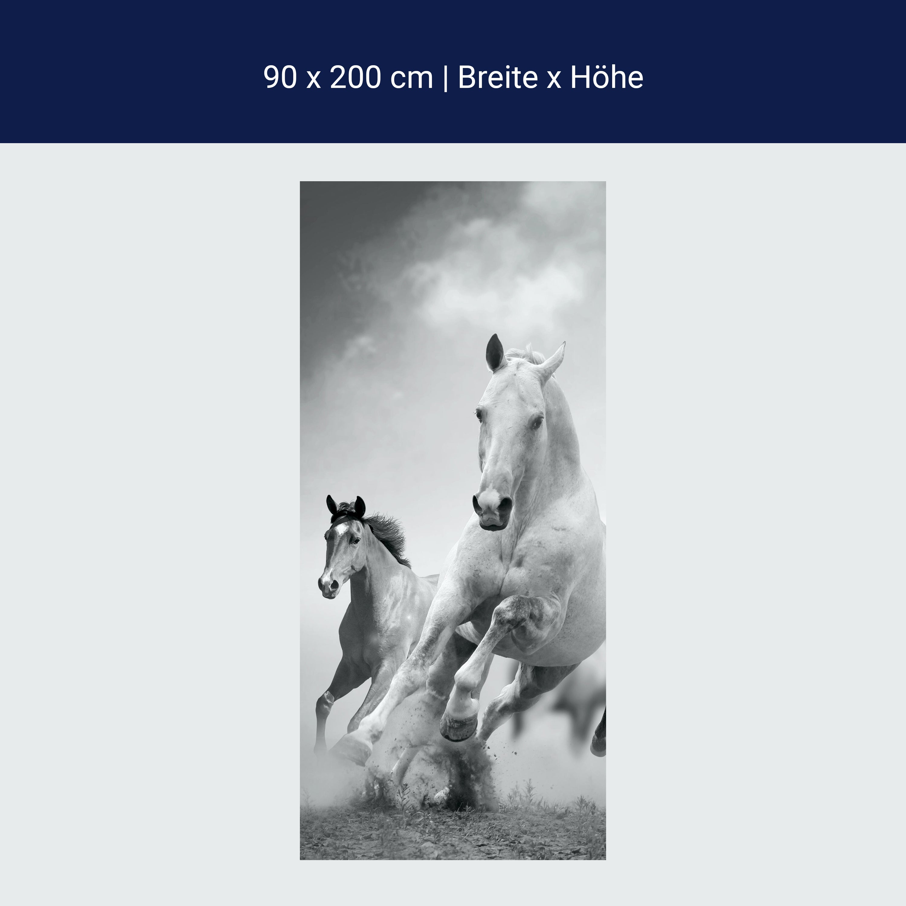Türtapete Pferde laufen in Weiß und Schwarz M0945 Türtapete Pferde laufen in Weiß und Schwarz M0945