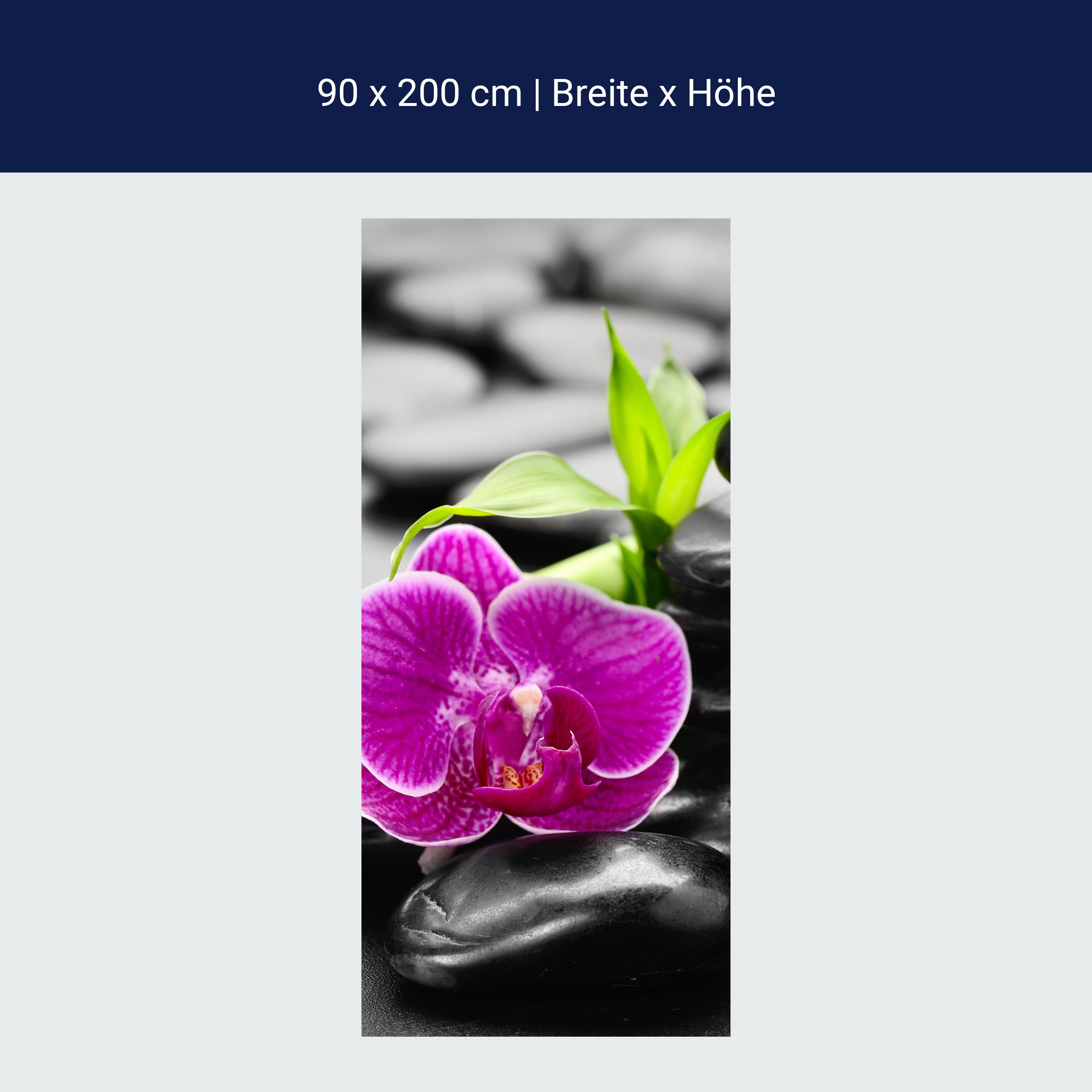 Türtapete Zen Basaltsteine und Orchidee M0954 Türtapete Zen Basaltsteine und Orchidee M0954