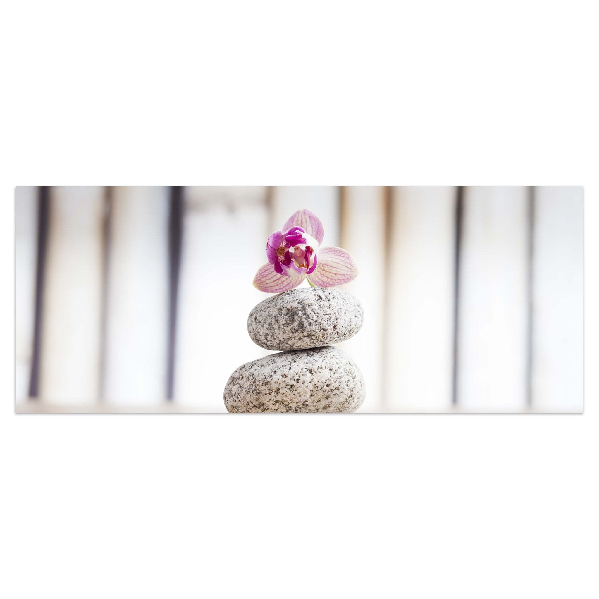 Leinwandbild Orchideen und weiße Steine - Wellness M0959 kaufen - Bild 1 Leinwandbild Orchideen und weiße Steine - Wellness M0959 kaufen - Bild 1
