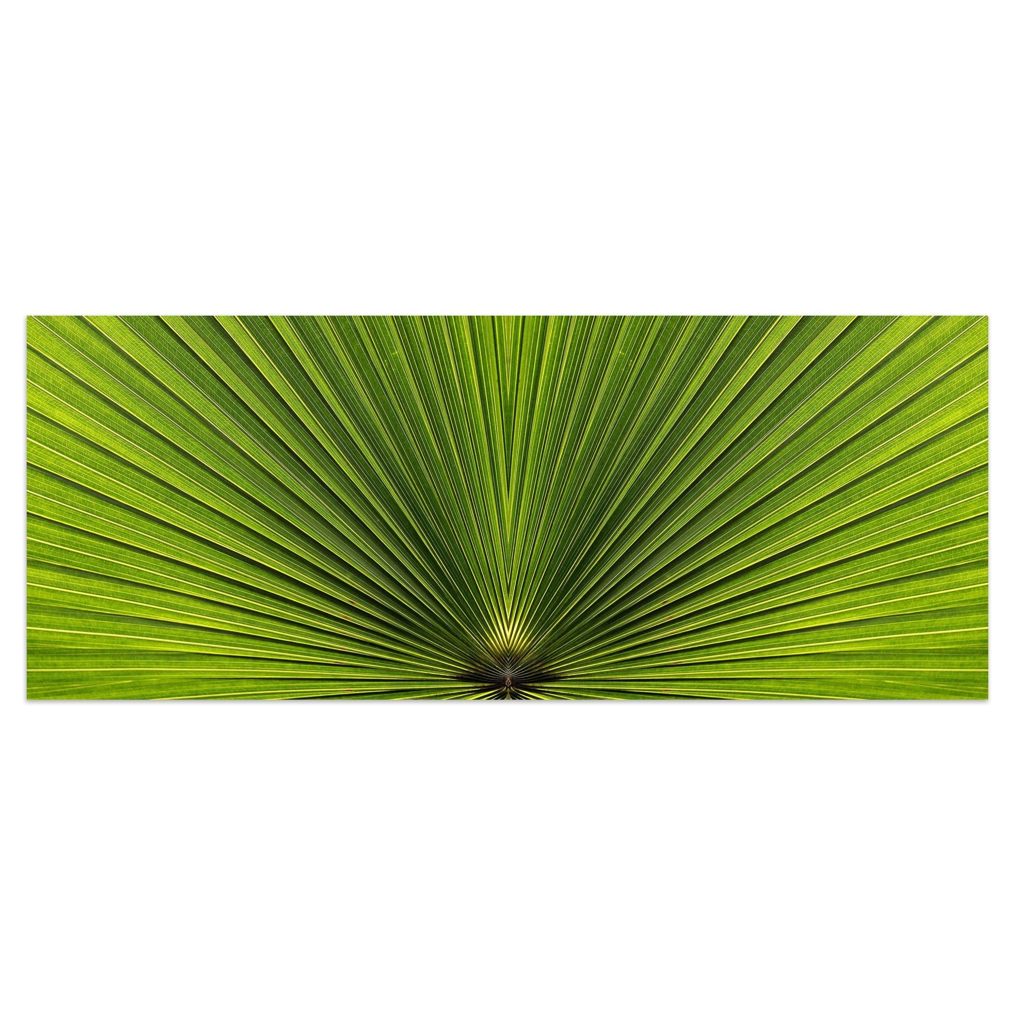 Leinwandbild Palmblatt Nahaufnahme M1003 kaufen - Bild 1 Leinwandbild Palmblatt Nahaufnahme M1003 kaufen - Bild 1