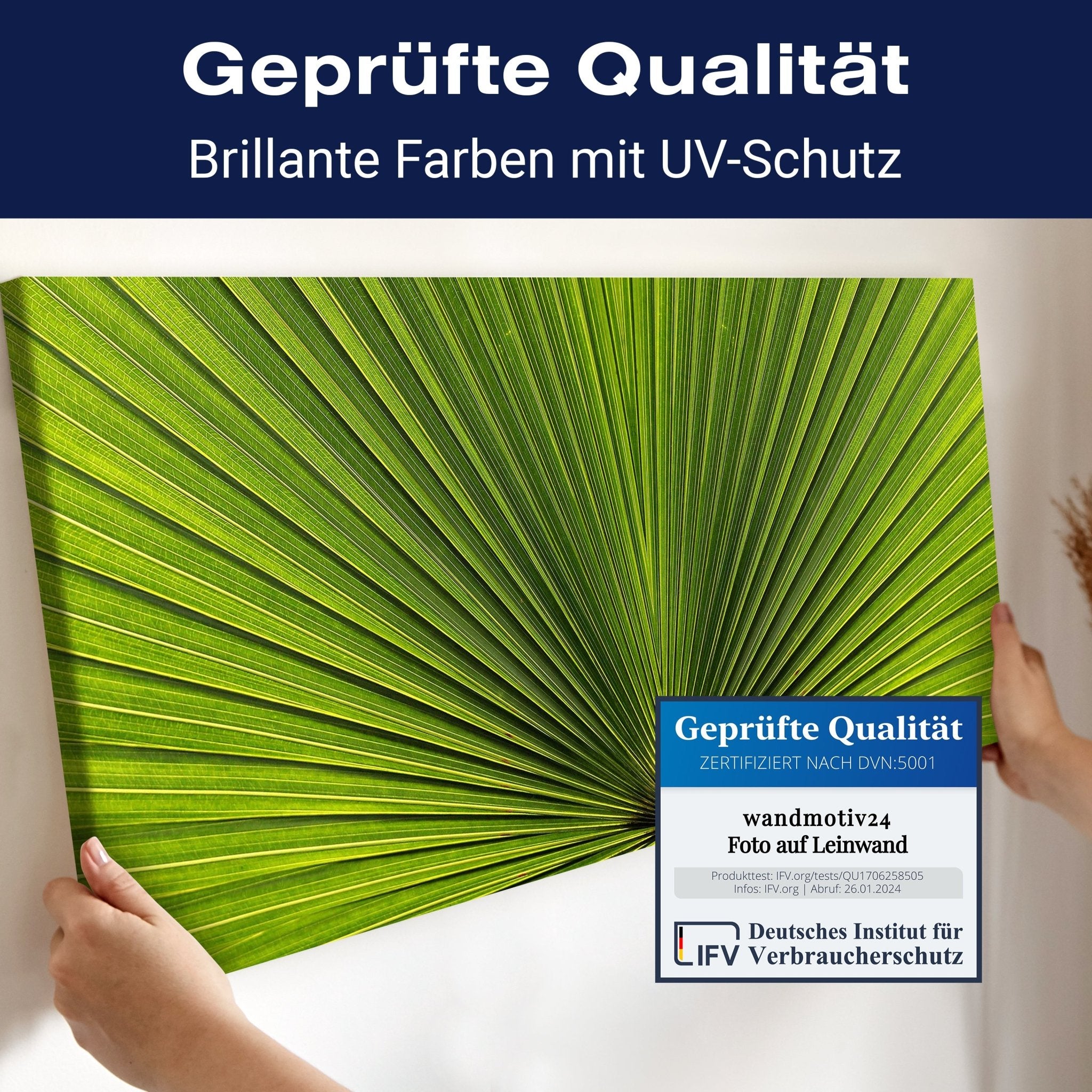 Leinwandbild Palmblatt Nahaufnahme M1003 kaufen - Bild 4 Leinwandbild Palmblatt Nahaufnahme M1003 kaufen - Bild 4