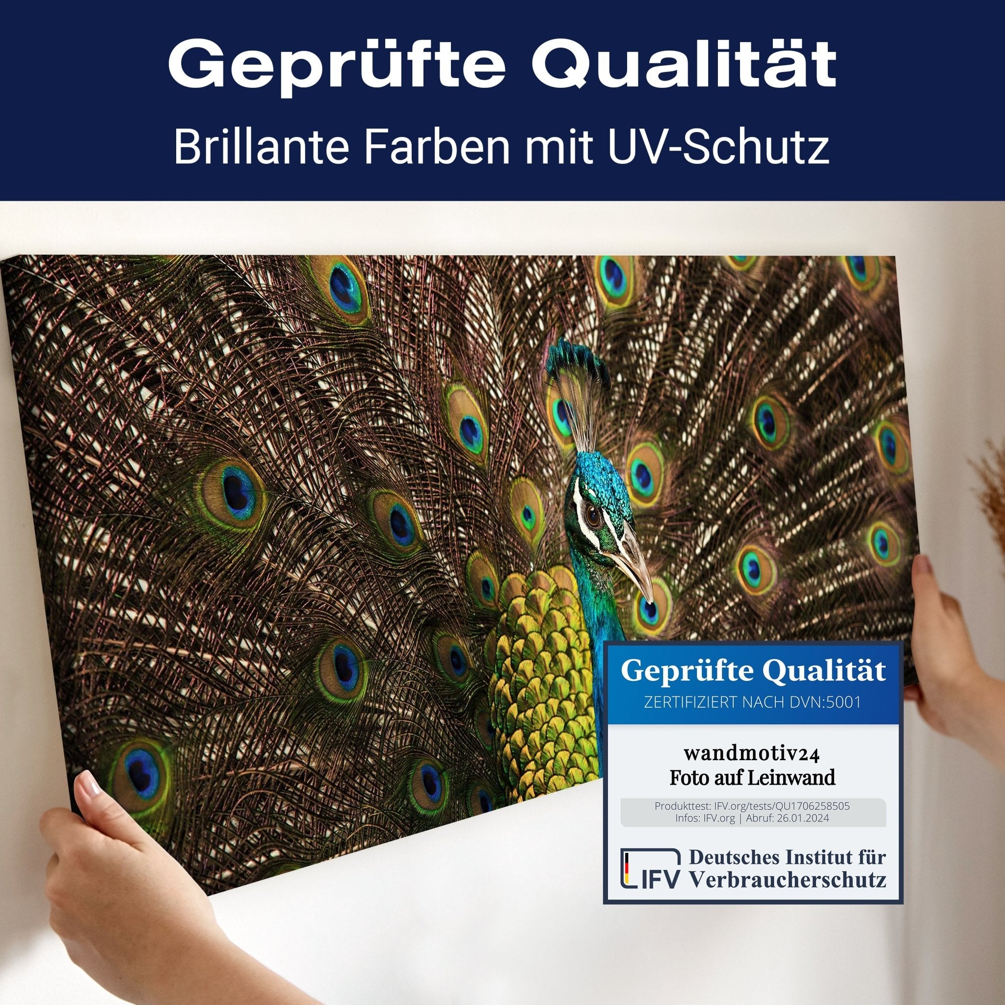 Leinwandbild schöner Pfau M1005 kaufen - Bild 4 Leinwandbild schöner Pfau M1005 kaufen - Bild 4