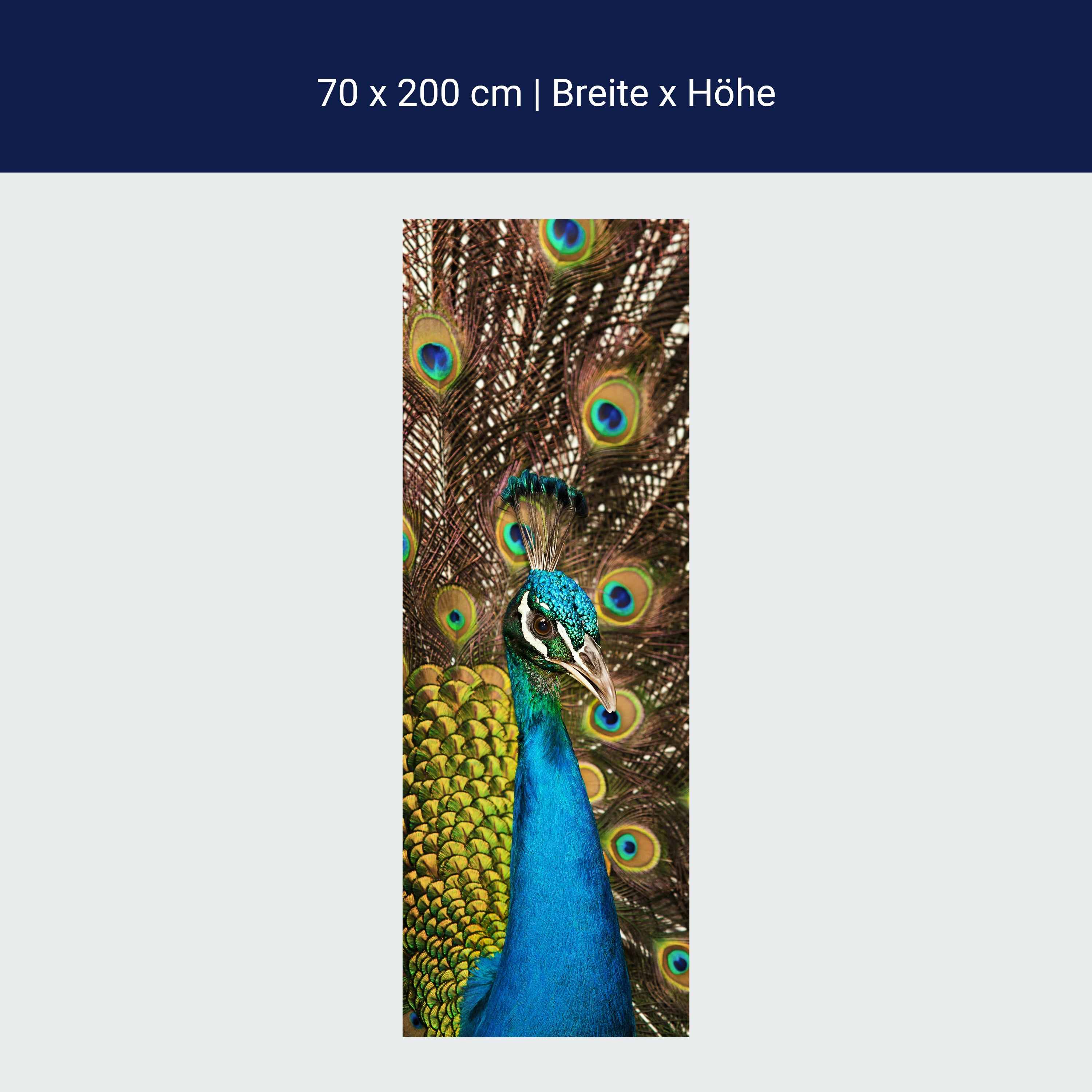 Türtapete schöner Pfau M1005 Türtapete schöner Pfau M1005