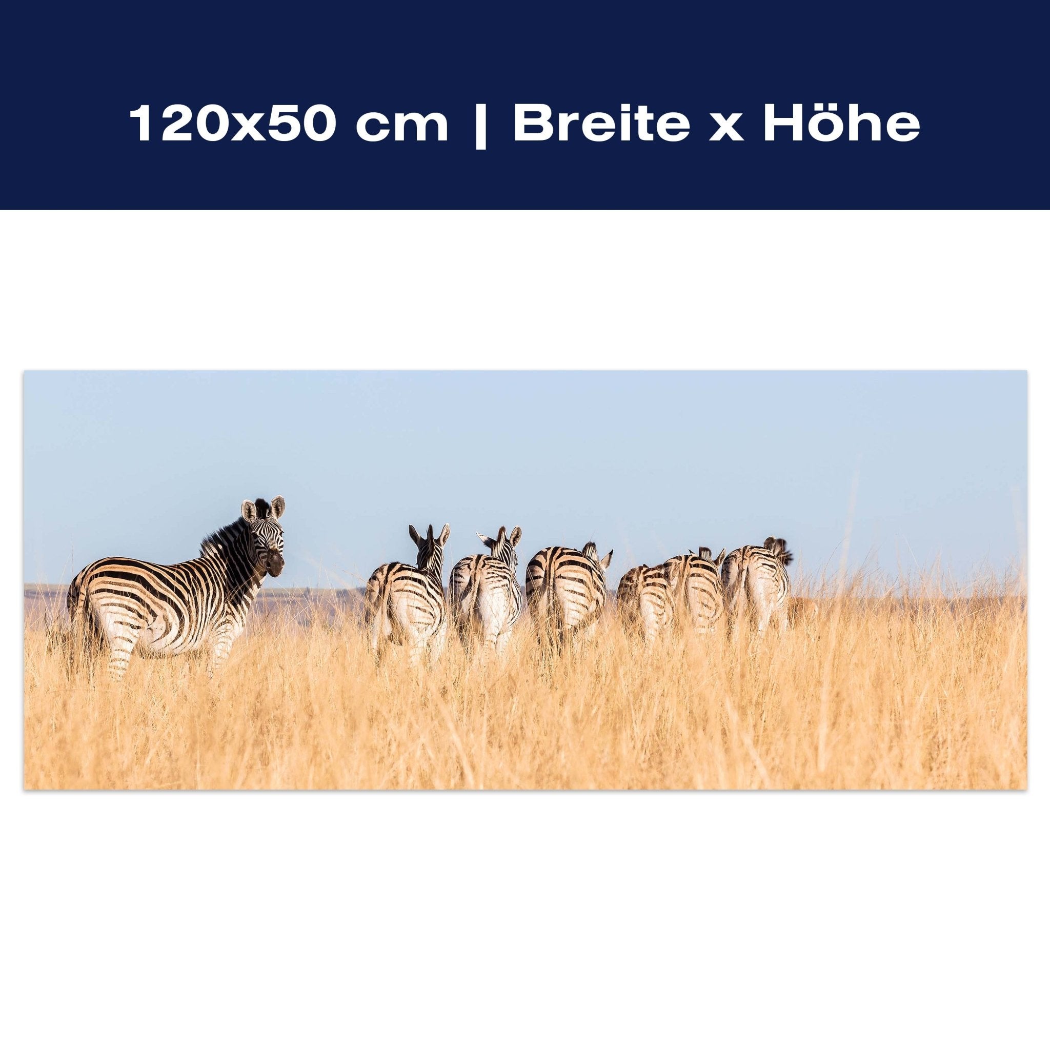 Leinwandbild Manada de cebras M1007 Leinwandbild Manada de cebras M1007