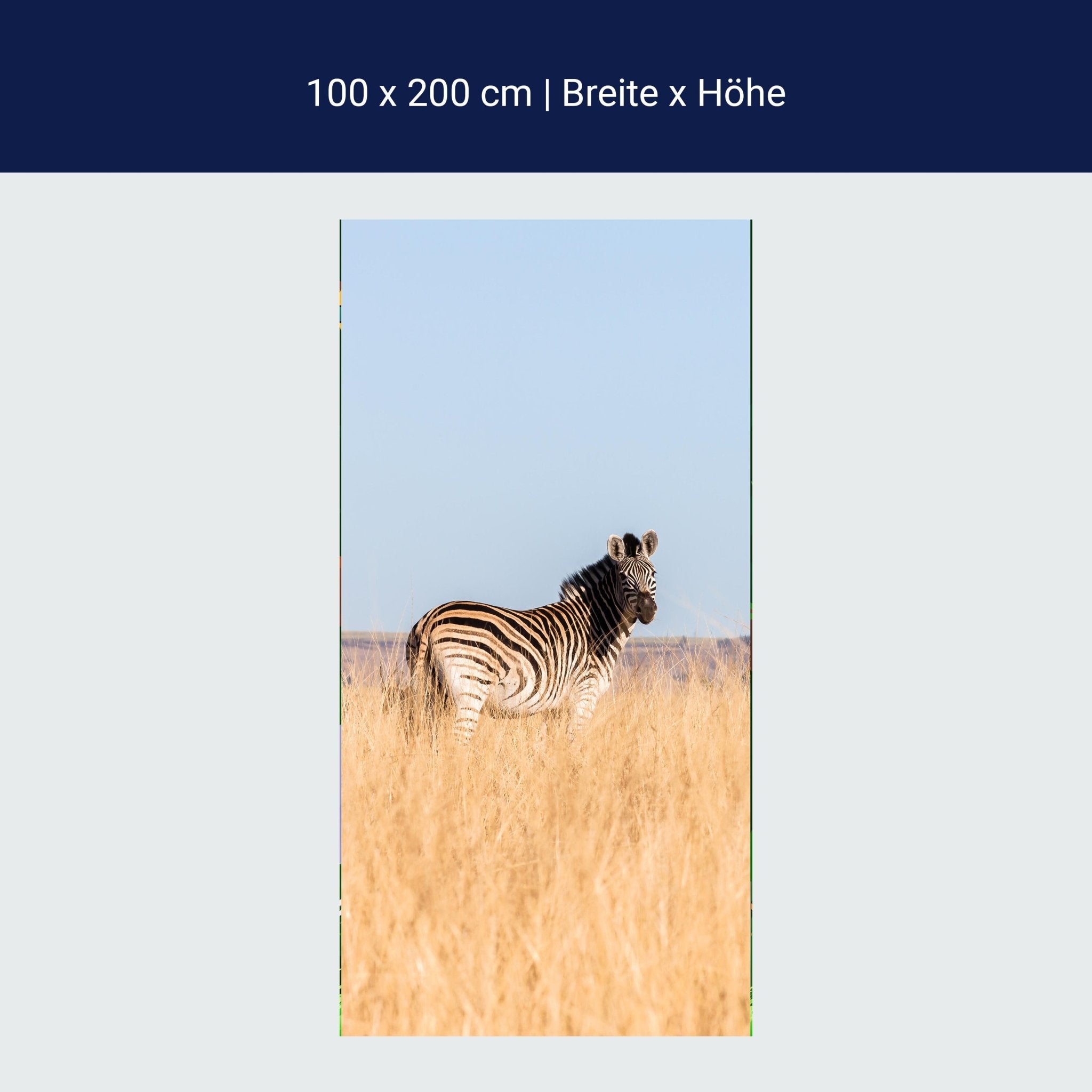 Türtapete Manada de cebras M1007 Türtapete Manada de cebras M1007