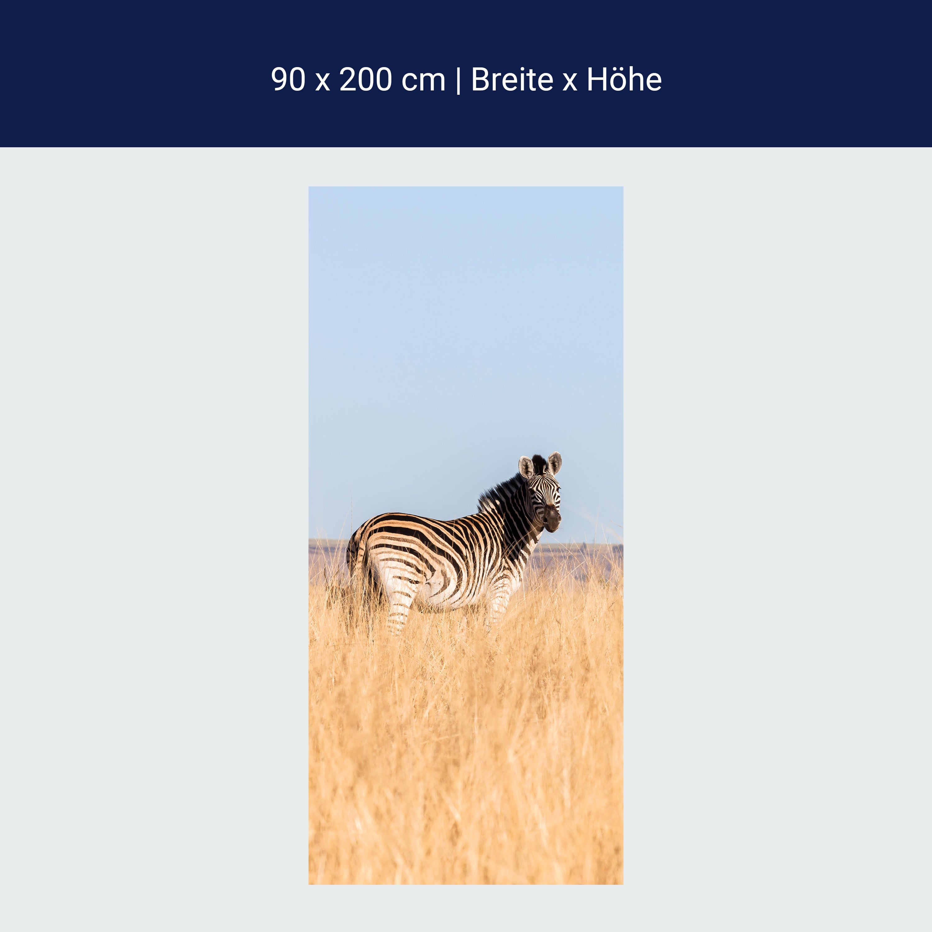 Türtapete Manada de cebras M1007 Türtapete Manada de cebras M1007