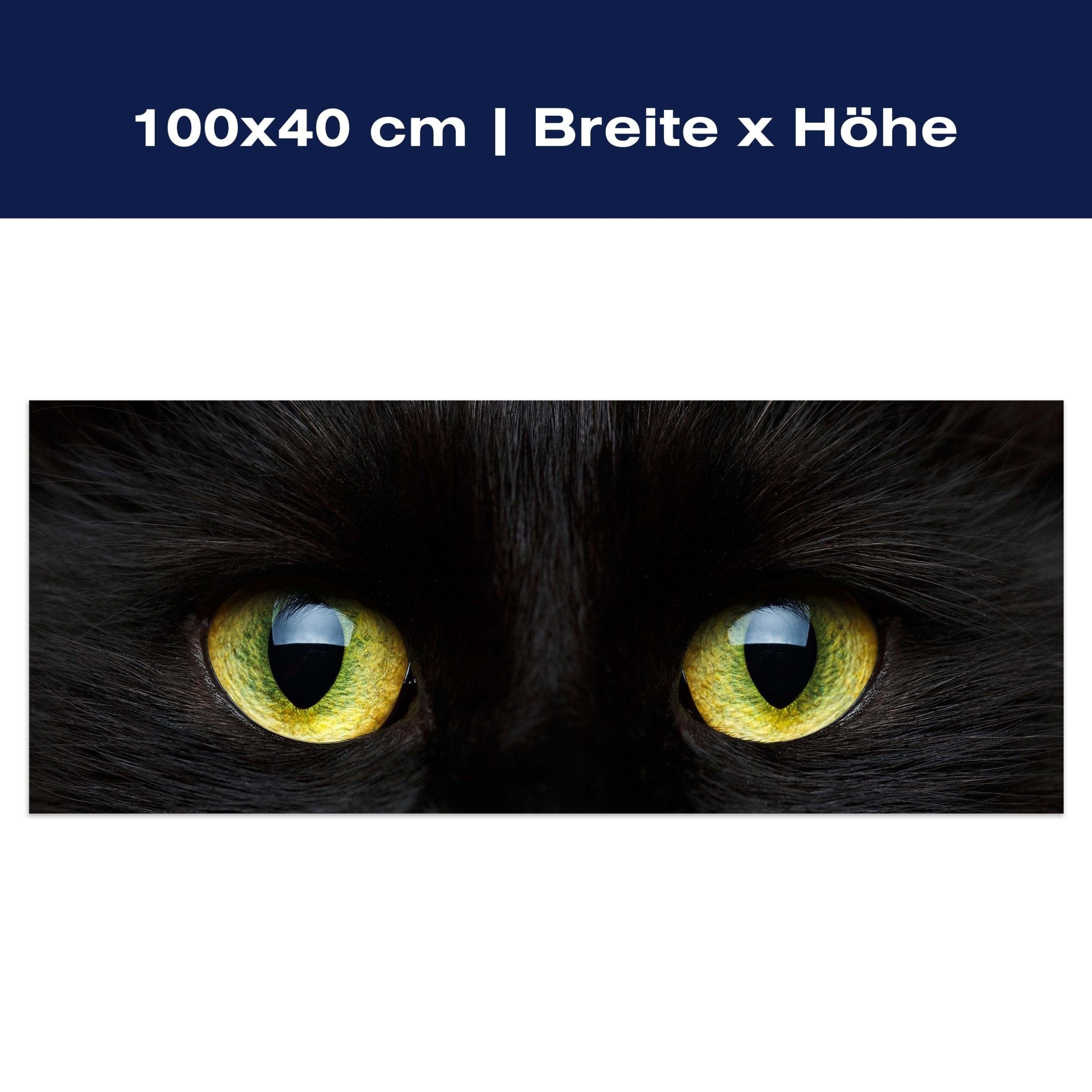 Leinwandbild Nahaufnahme der schwarzen Katze M1013 Leinwandbild Nahaufnahme der schwarzen Katze M1013