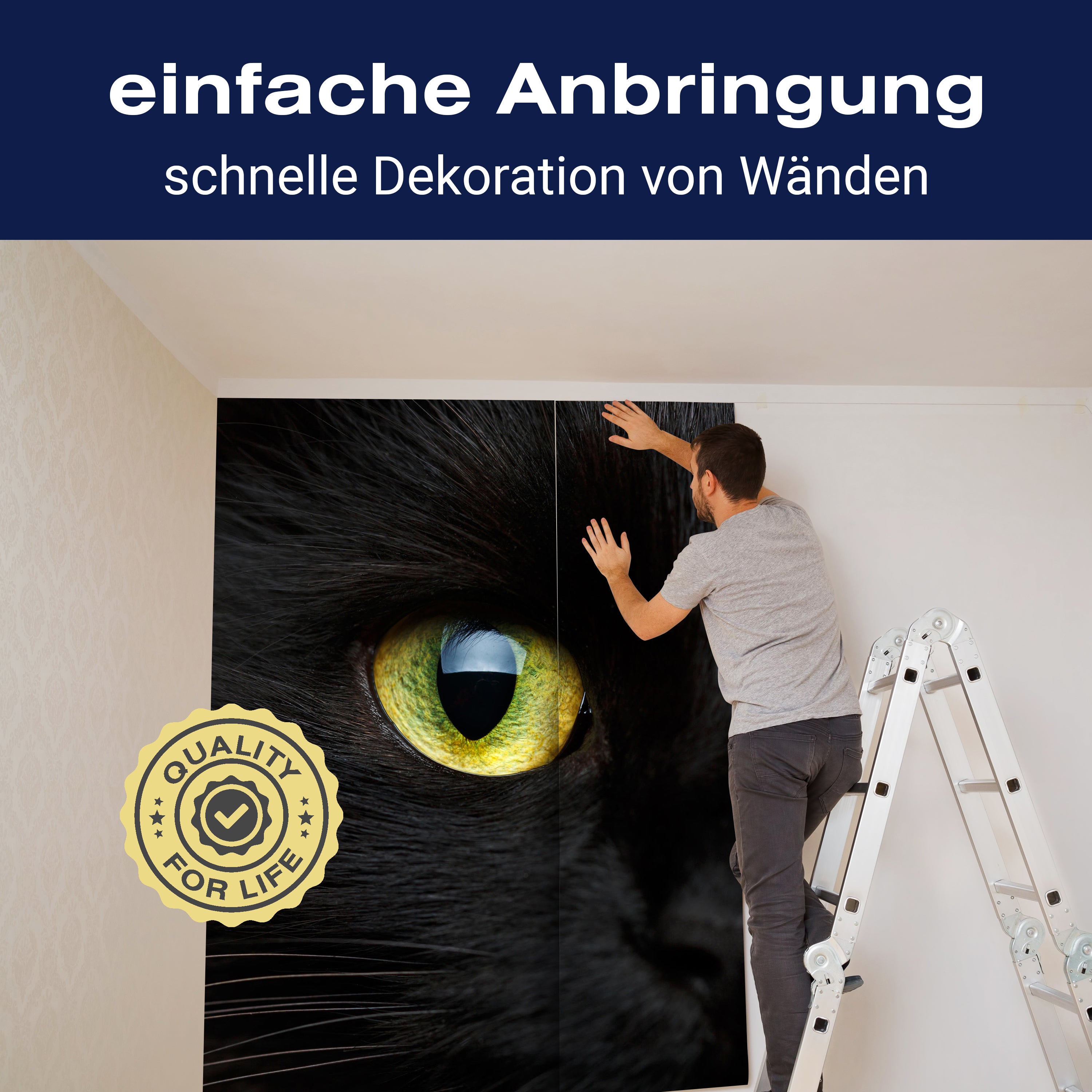 Fototapete Katze Tier Augen M1013 - Bild 3 Fototapete Katze Tier Augen M1013 - Bild 3