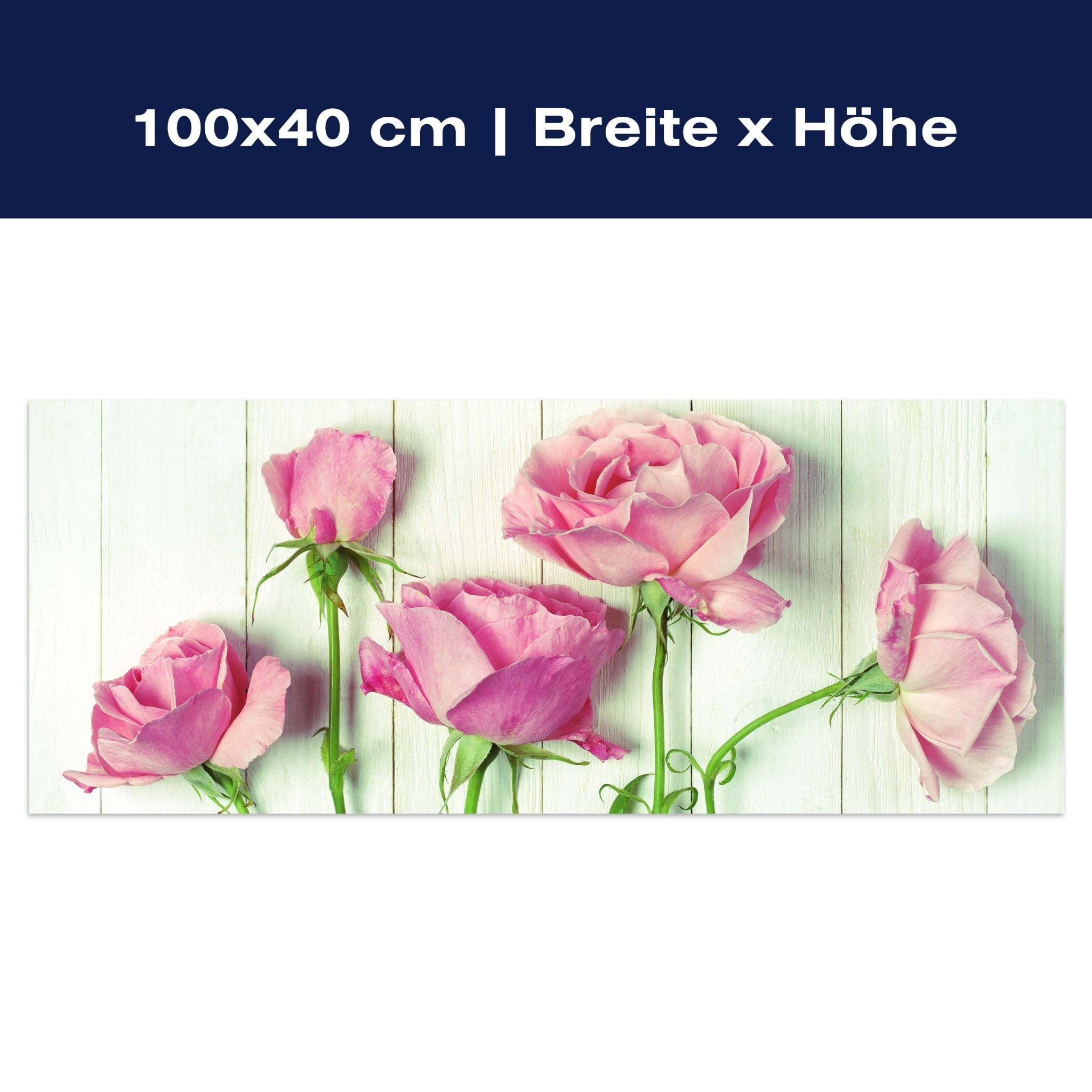 Leinwandbild Frische Gartenrosen M1021 Leinwandbild Frische Gartenrosen M1021