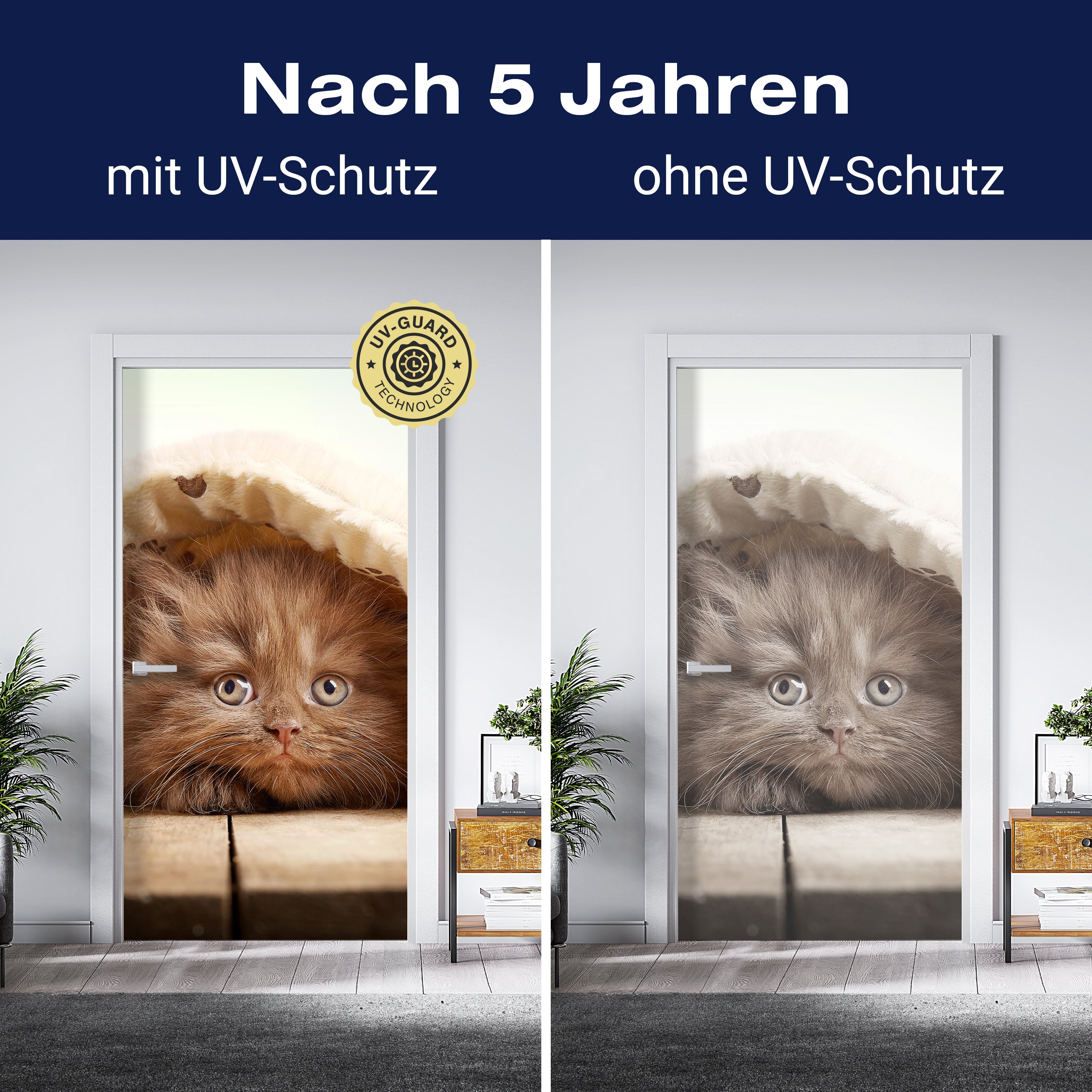 Türtapete Braunes britisches langhaariges Kätzchen M1023 - Bild 4 Türtapete Braunes britisches langhaariges Kätzchen M1023 - Bild 4