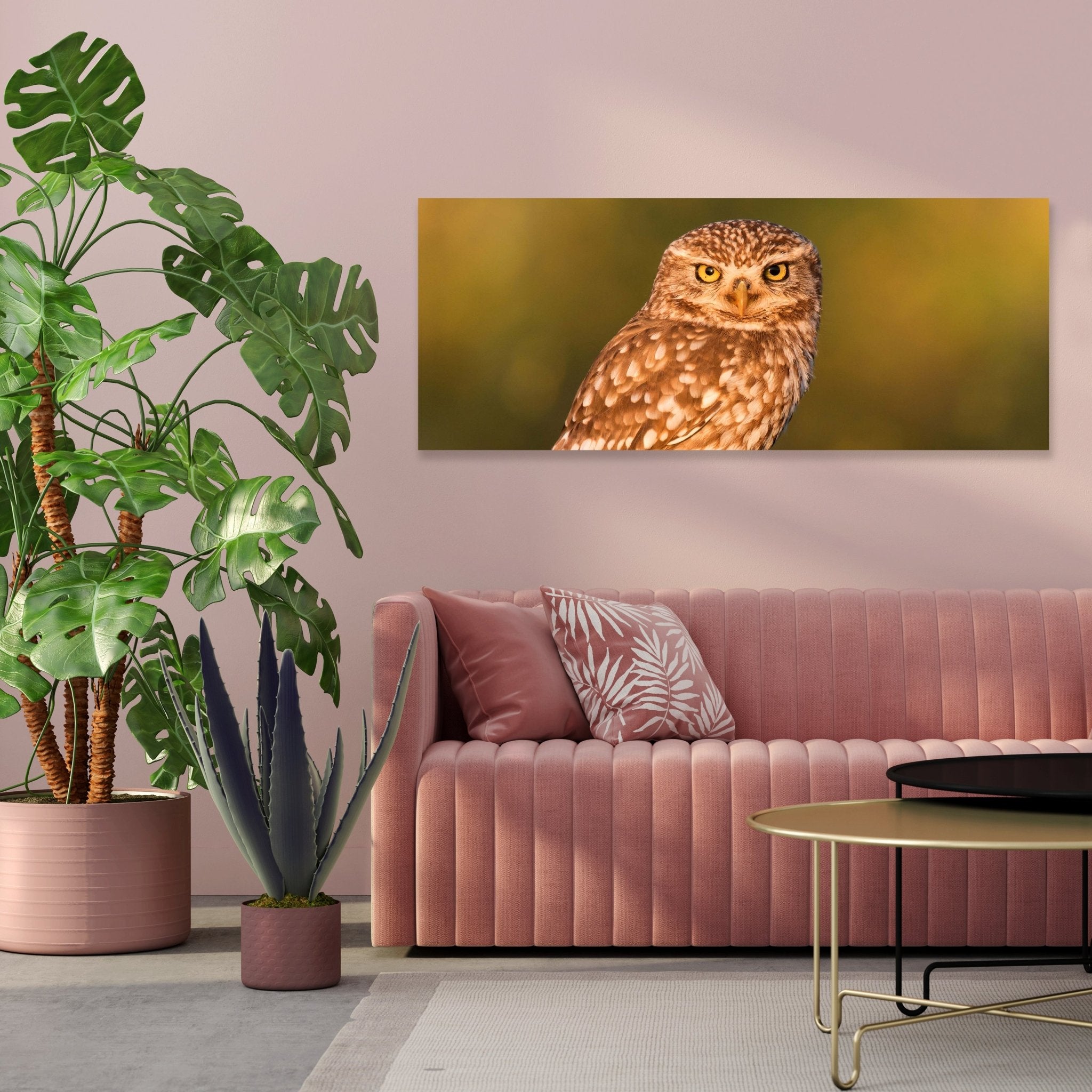 Leinwandbild Kleine Eule auf einem Baumstamm M1026 kaufen - Bild 3 Leinwandbild Kleine Eule auf einem Baumstamm M1026 kaufen - Bild 3