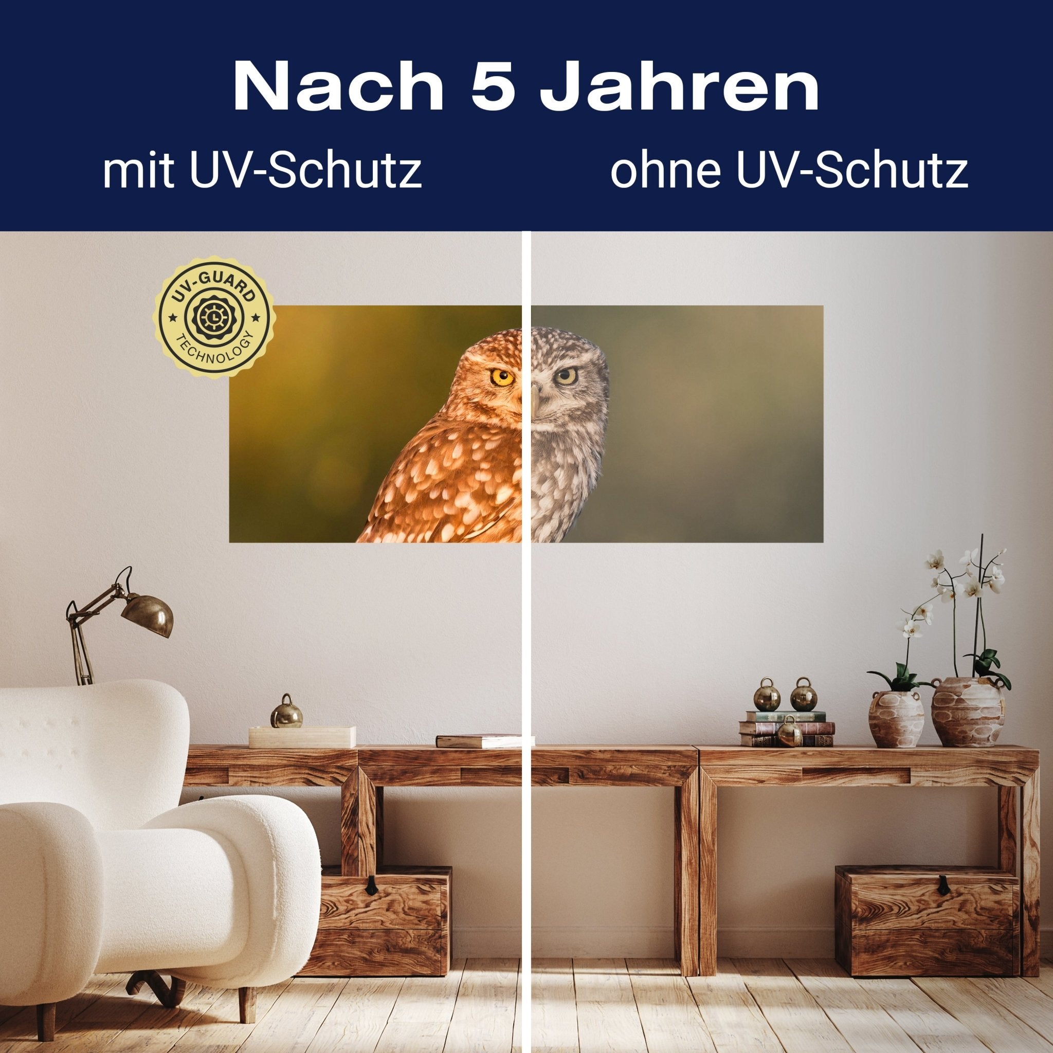 Leinwandbild Kleine Eule auf einem Baumstamm M1026 kaufen - Bild 9 Leinwandbild Kleine Eule auf einem Baumstamm M1026 kaufen - Bild 9