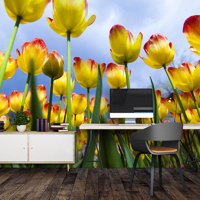 Fototapete Tulpen 2 M1029 - Bild 1 Fototapete Tulpen 2 M1029 - Bild 1