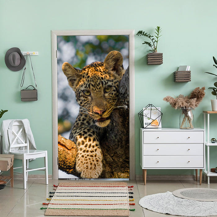 Türtapete Leopard in Südafrika M1032 - Bild 1 Türtapete Leopard in Südafrika M1032 - Bild 1