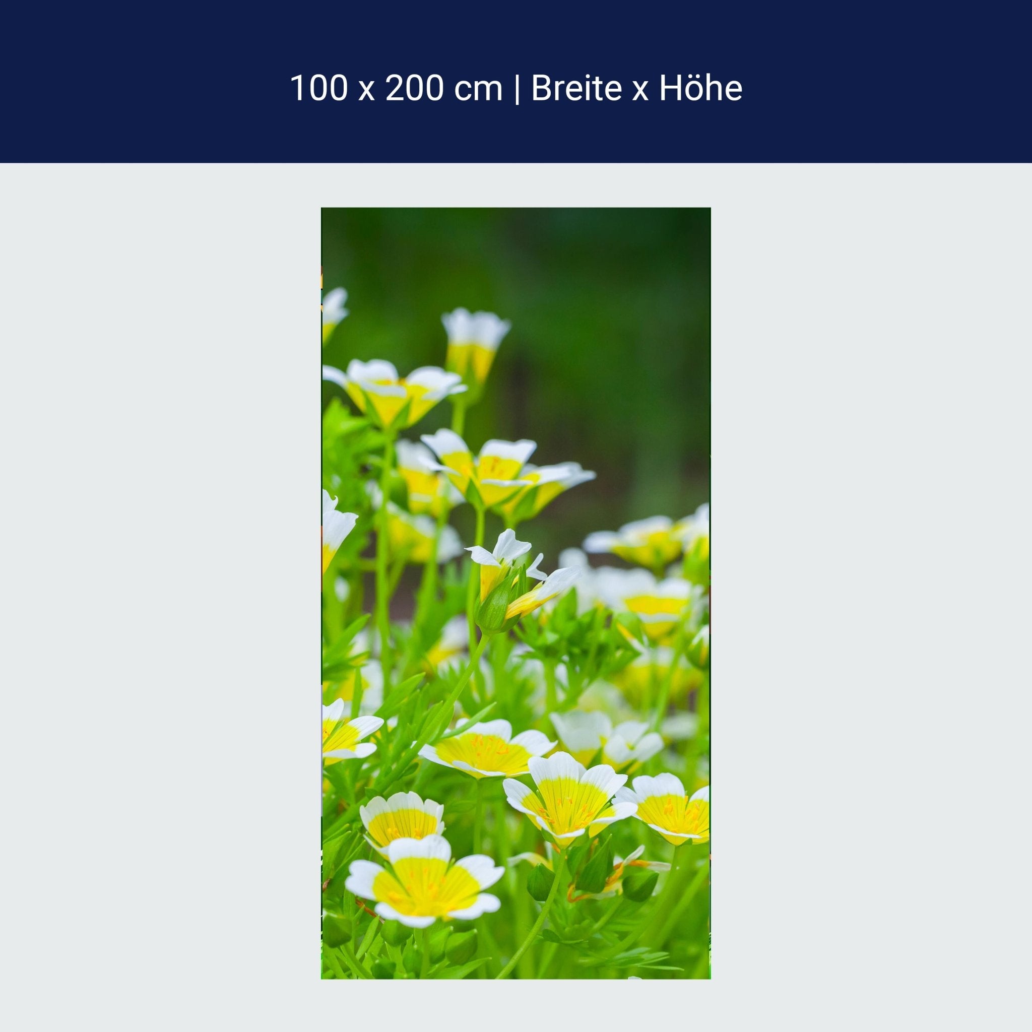 Türtapete Blumen, die im Sommergarten wachsen M1039 Türtapete Blumen, die im Sommergarten wachsen M1039