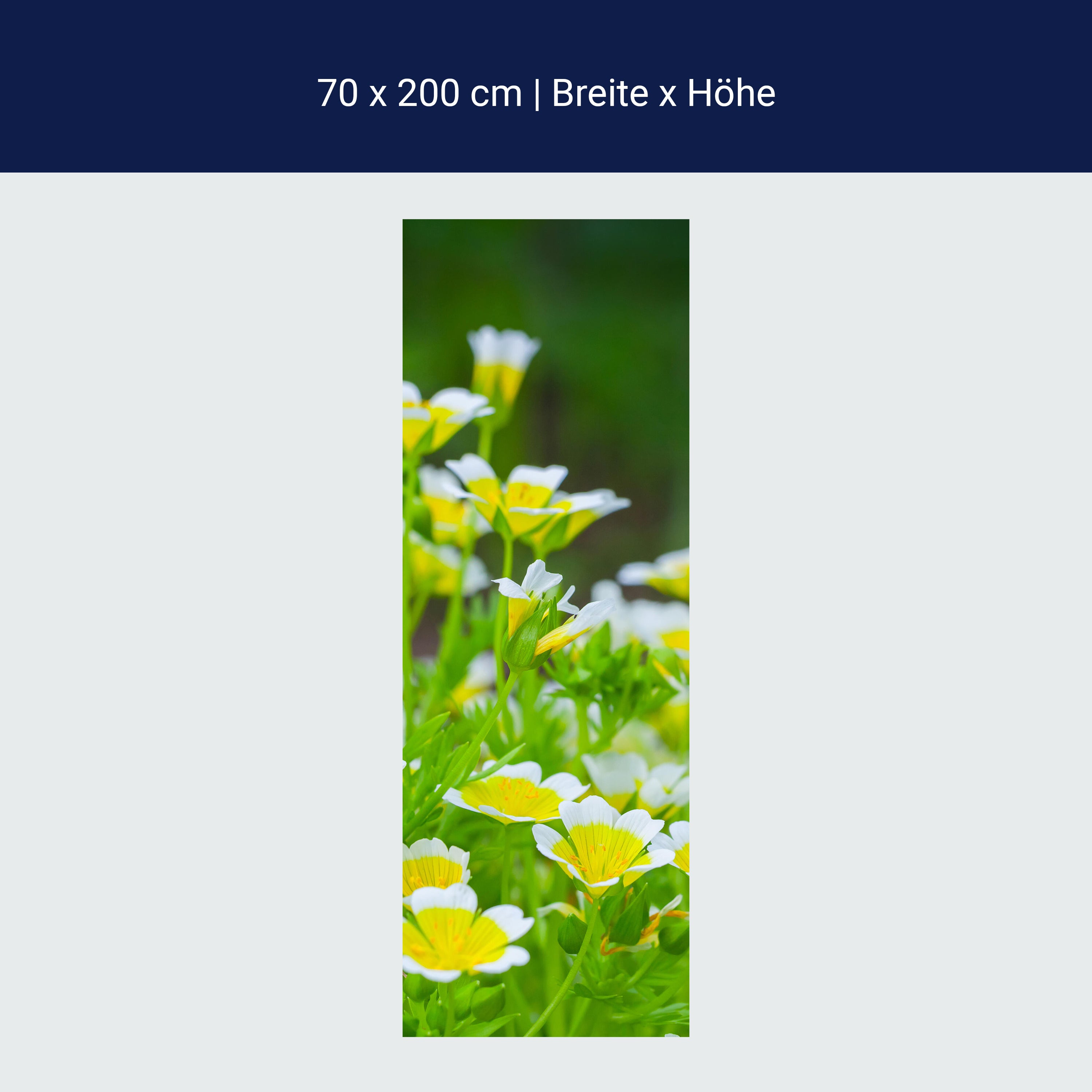 Türtapete Blumen, die im Sommergarten wachsen M1039 Türtapete Blumen, die im Sommergarten wachsen M1039
