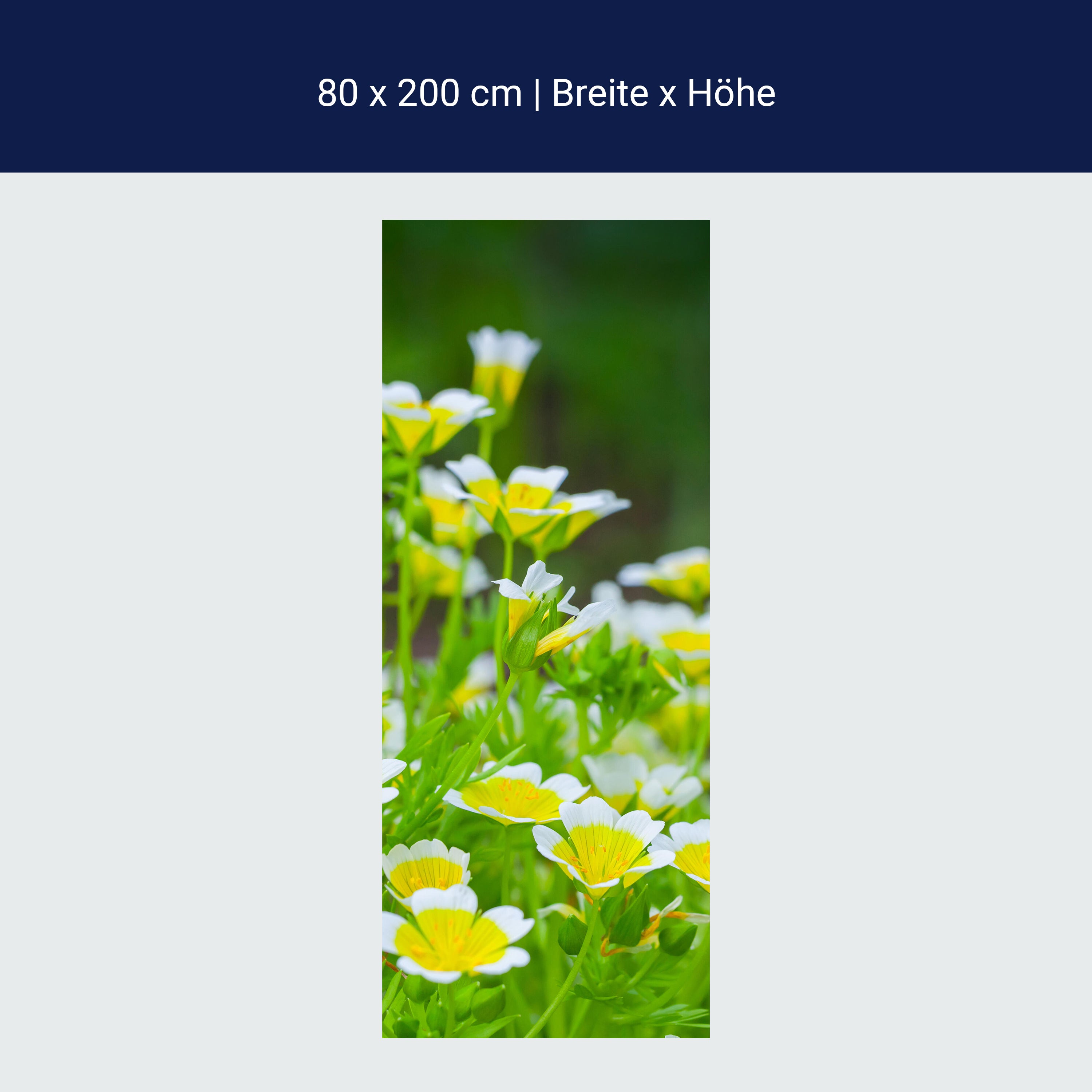 Türtapete Blumen, die im Sommergarten wachsen M1039 Türtapete Blumen, die im Sommergarten wachsen M1039
