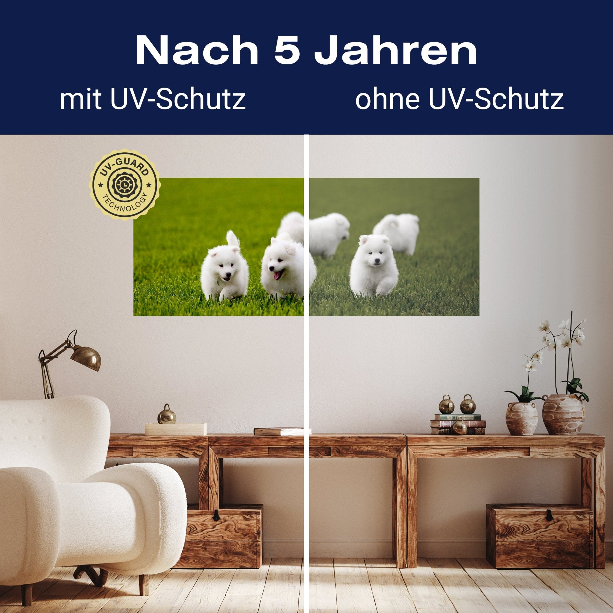 Leinwandbild Samojedenhund M1043 kaufen - Bild 9 Leinwandbild Samojedenhund M1043 kaufen - Bild 9