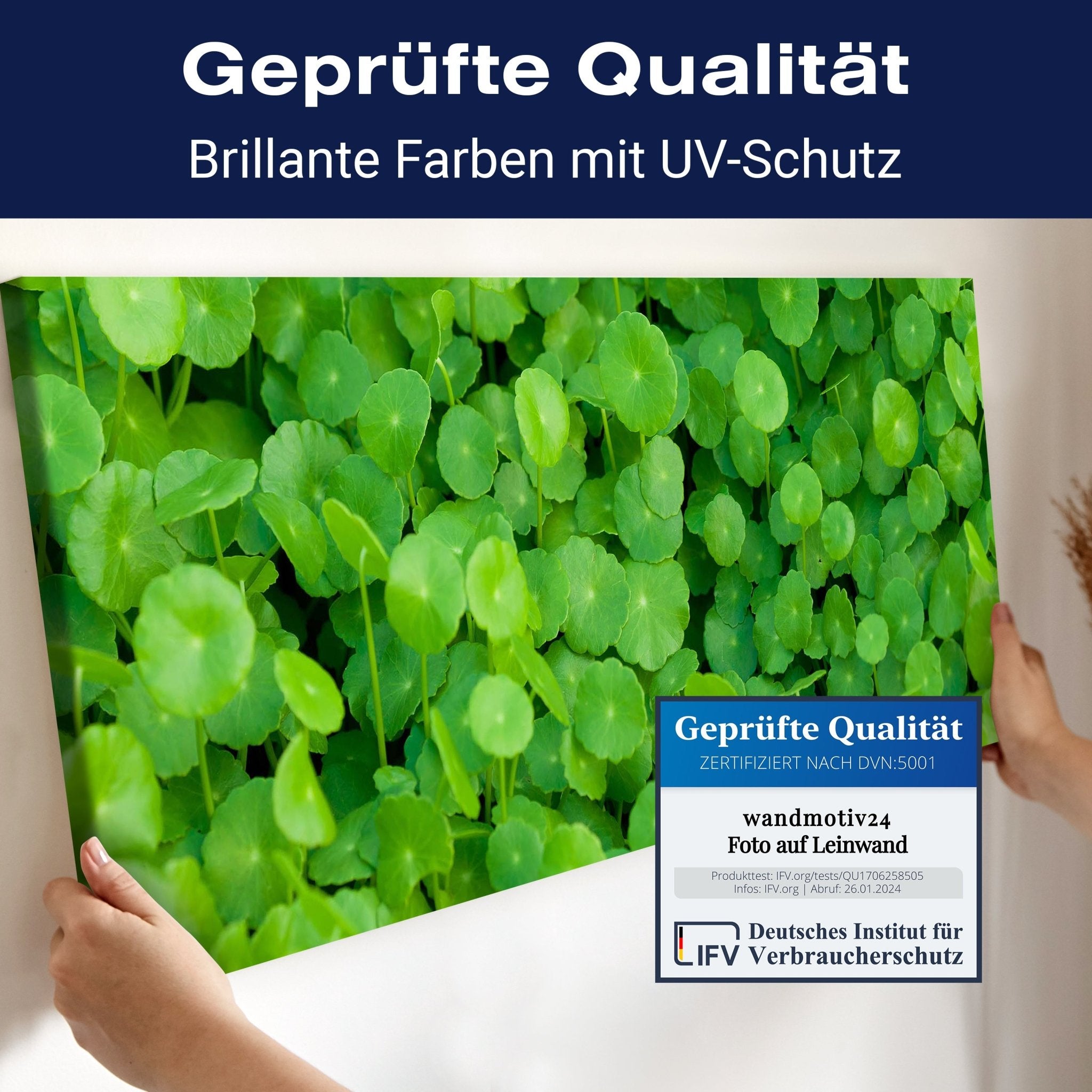 Leinwandbild Grünpflanzen Hintergrund M1046 kaufen - Bild 4 Leinwandbild Grünpflanzen Hintergrund M1046 kaufen - Bild 4