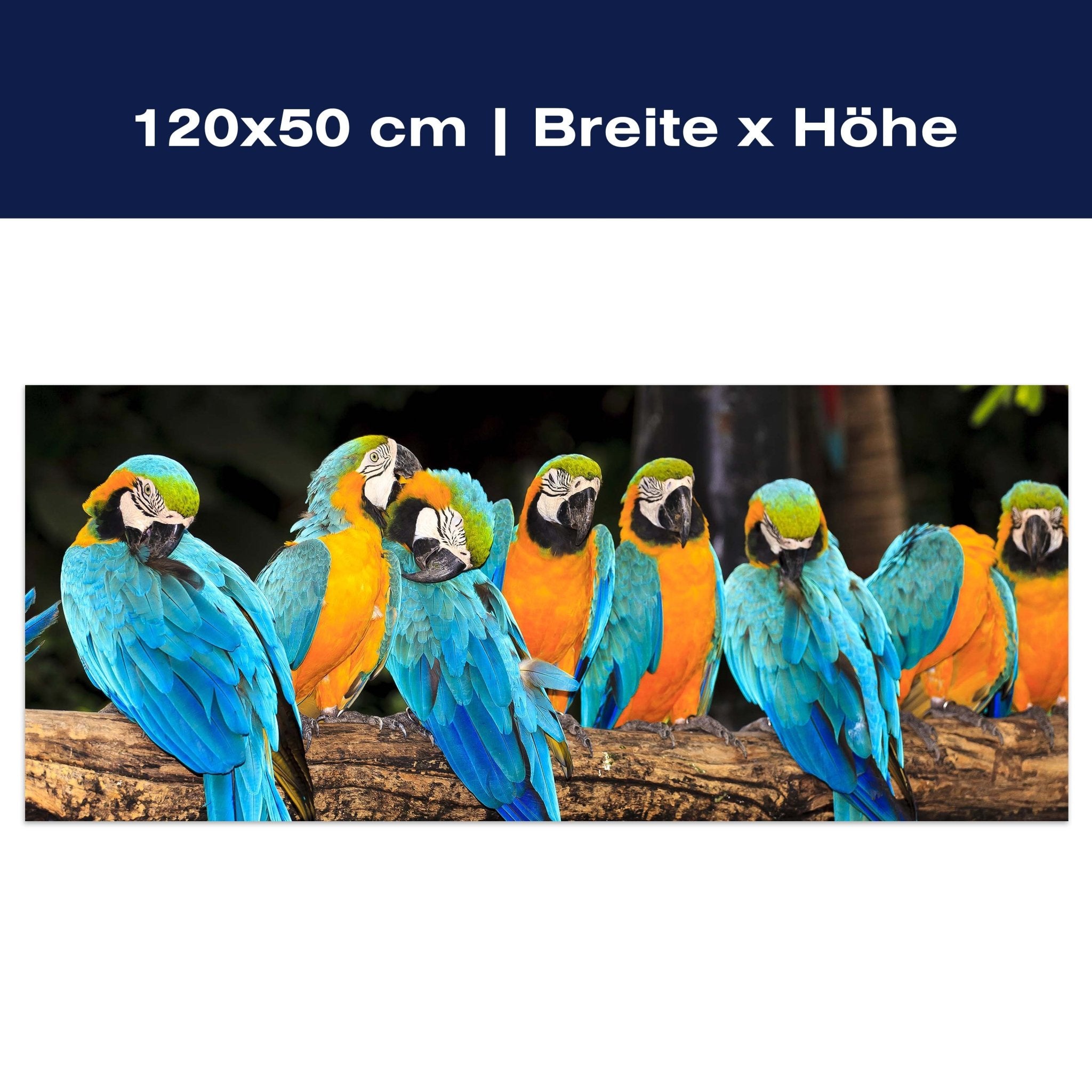 Leinwandbild Aras M1047 Leinwandbild Aras M1047