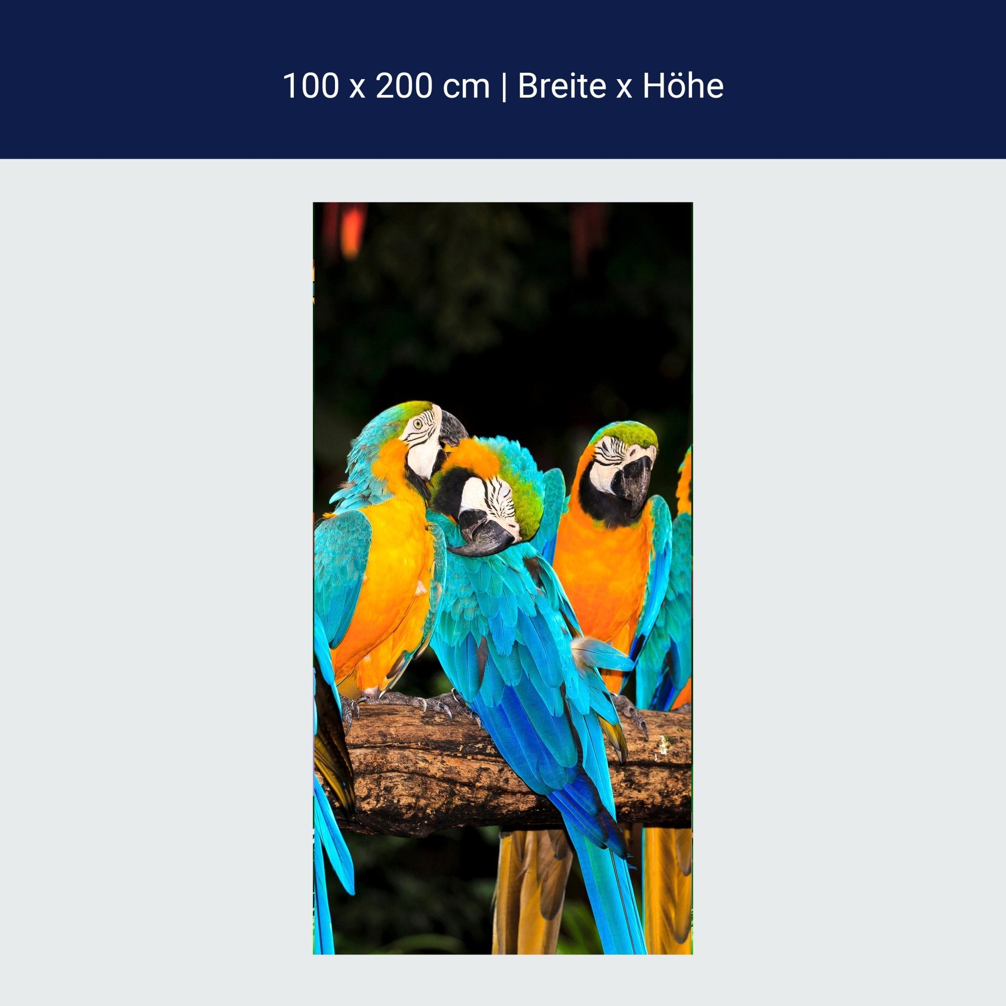 Türtapete Aras M1047 Türtapete Aras M1047