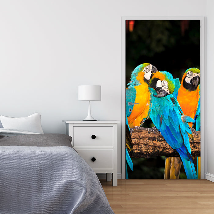 Türtapete Aras M1047 - Bild 1 Türtapete Aras M1047 - Bild 1