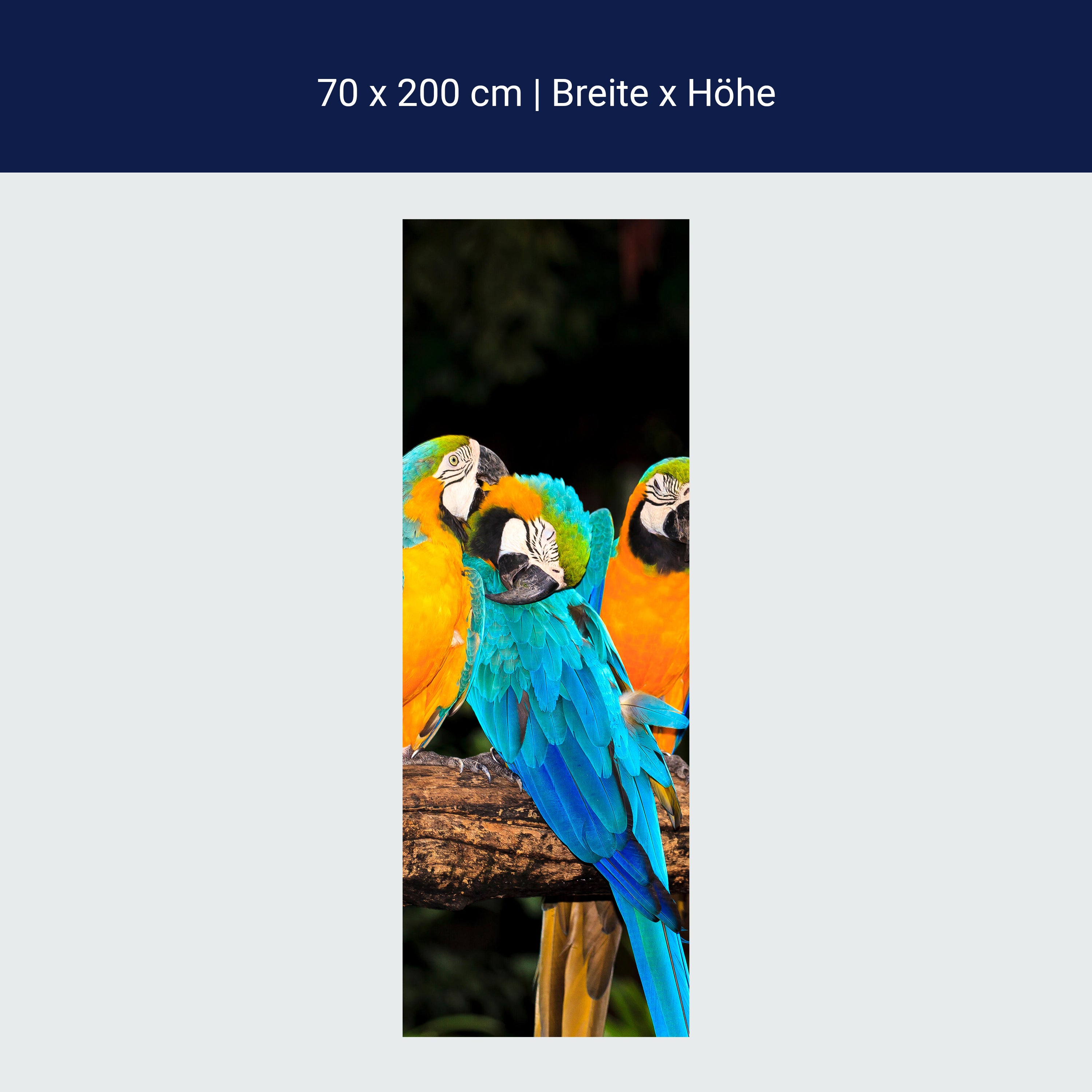 Türtapete Aras M1047 Türtapete Aras M1047