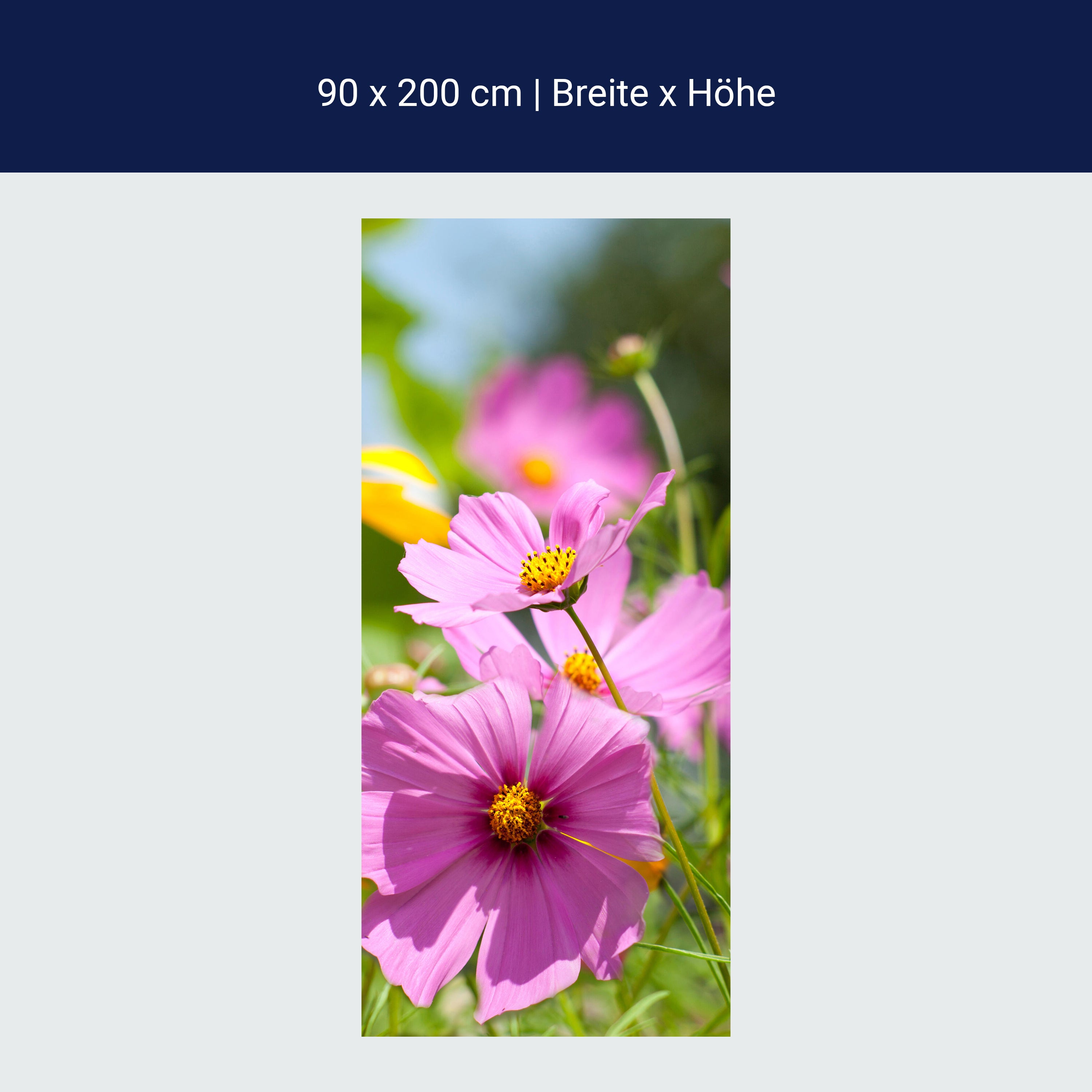 Türtapete Schöne Frühlingsblumen M1048 Türtapete Schöne Frühlingsblumen M1048