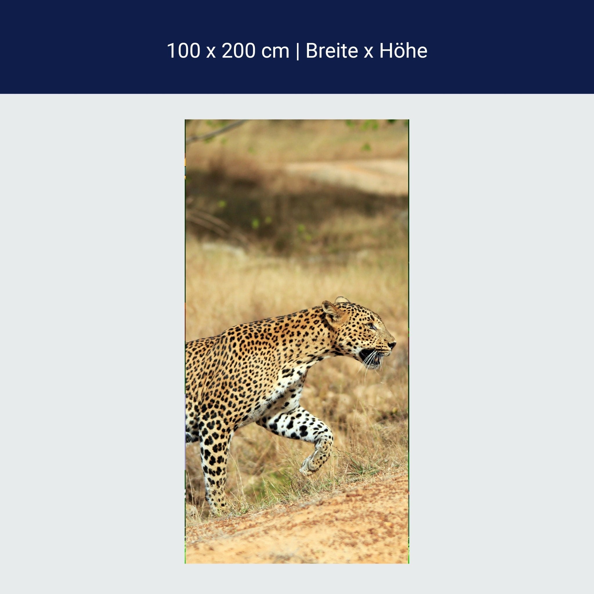 Türtapete Sri-Lankischer Leopard M1058 Türtapete Sri-Lankischer Leopard M1058