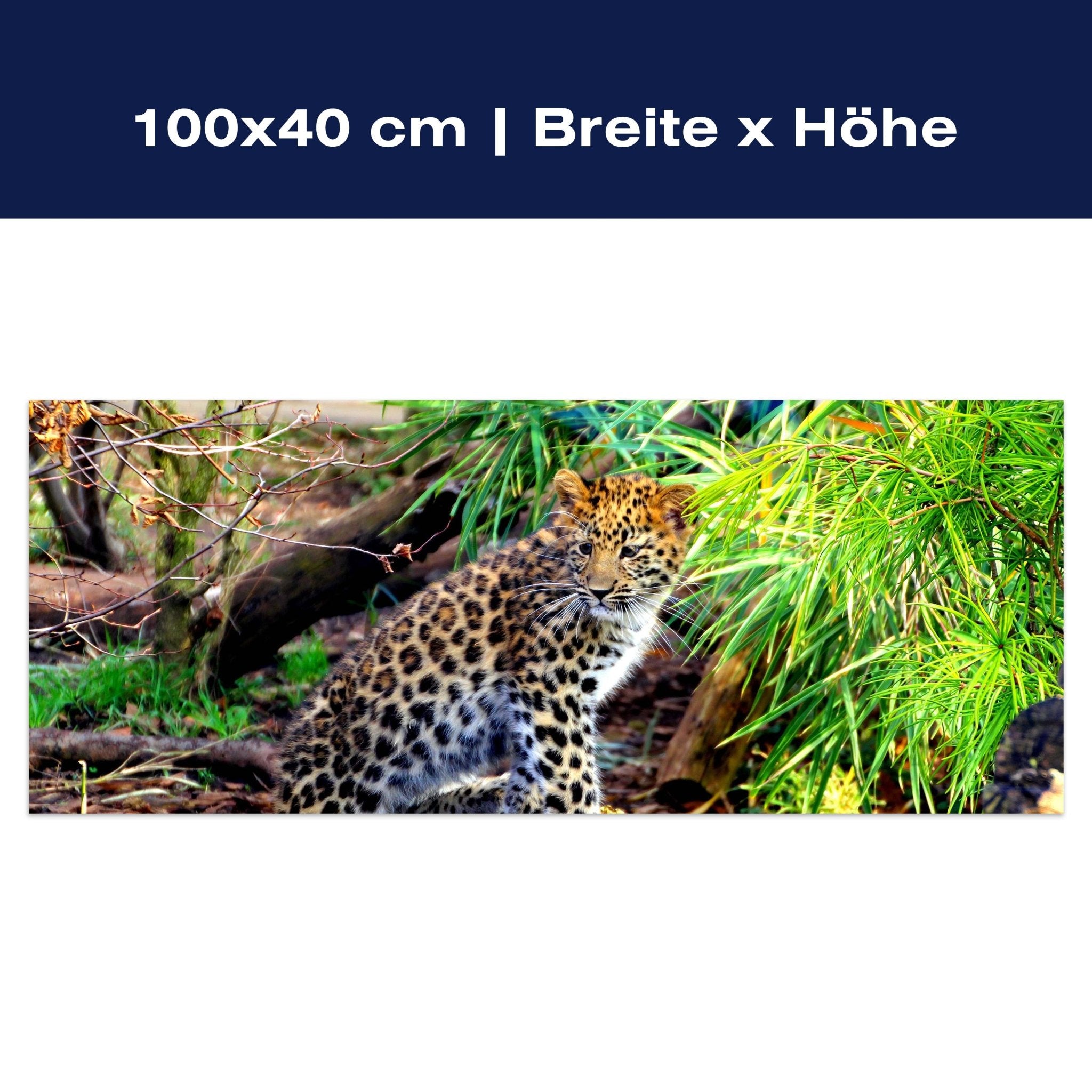 Leinwandbild Kleiner Leopard M1060 Leinwandbild Kleiner Leopard M1060