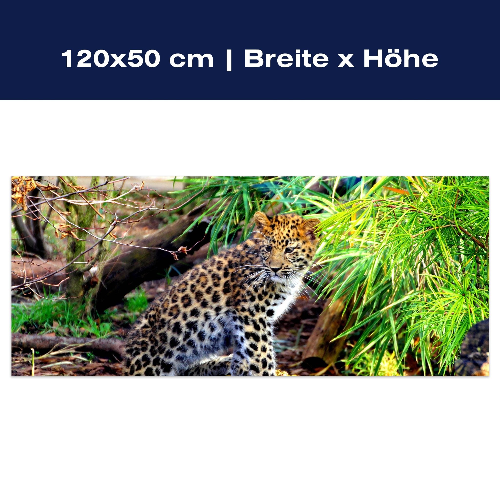 Leinwandbild Kleiner Leopard M1060 Leinwandbild Kleiner Leopard M1060