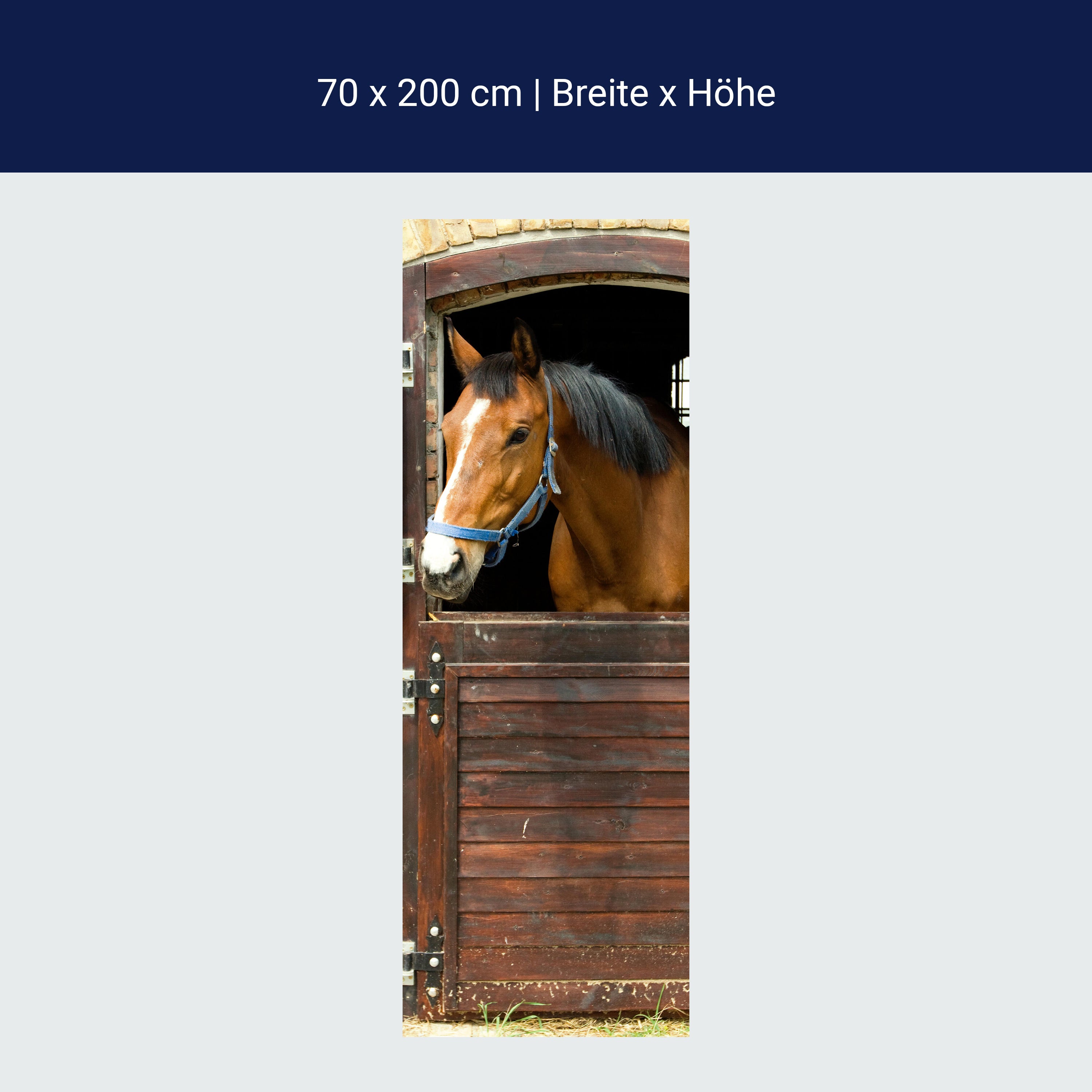 Türtapete Pferd an Stall-tür, Pferde, Tiere, Holz M1070 Türtapete Pferd an Stall-tür, Pferde, Tiere, Holz M1070