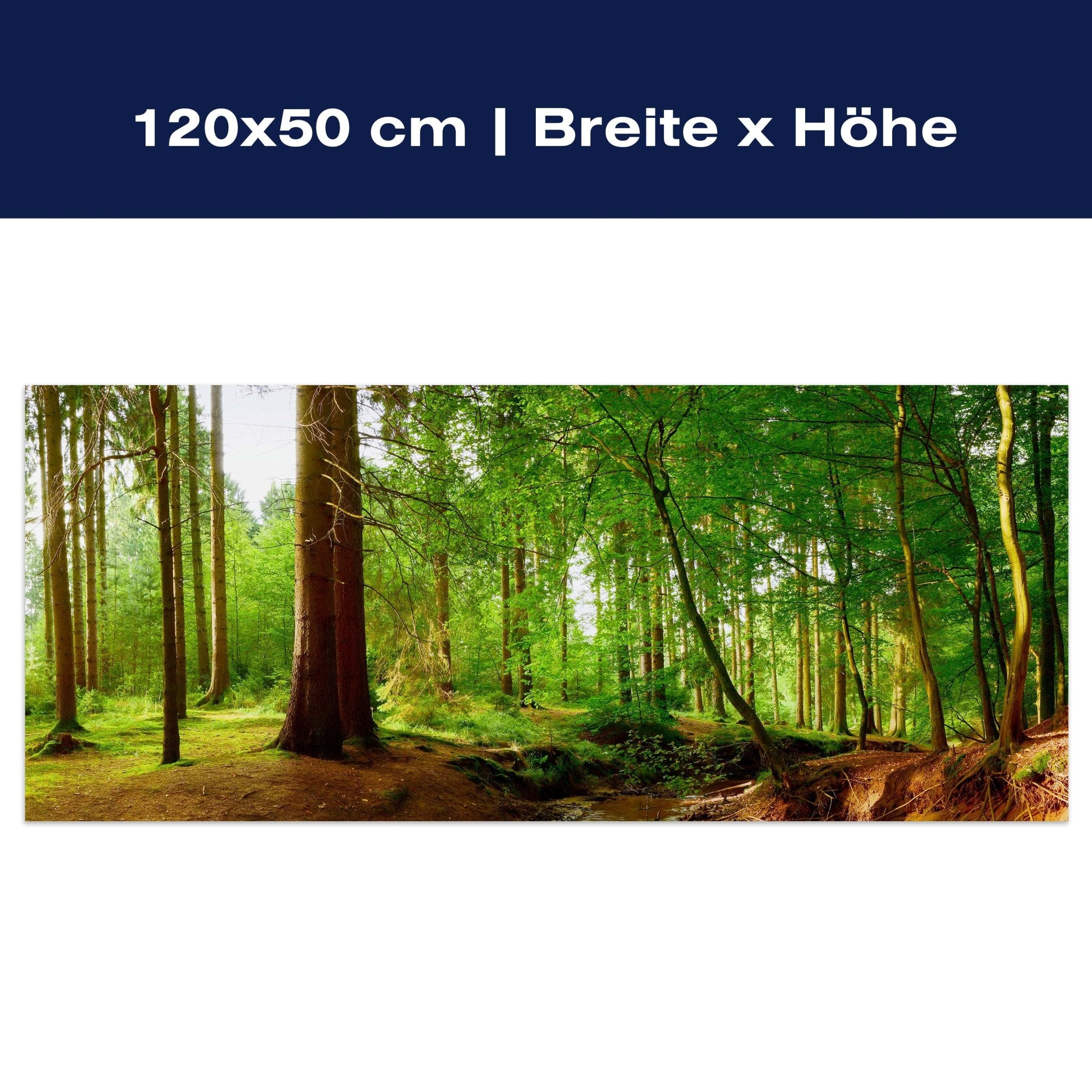Leinwandbild Bach im Wald, Natur, Grün, Bäume, Wasser M1087 Leinwandbild Bach im Wald, Natur, Grün, Bäume, Wasser M1087
