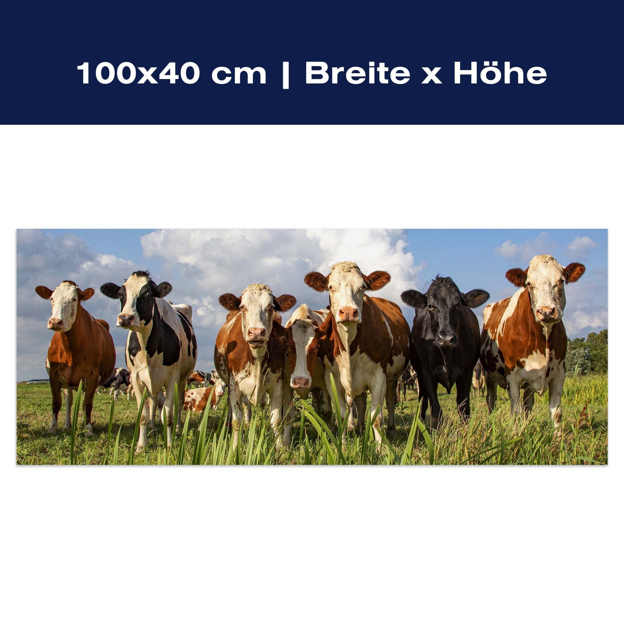 Leinwandbild Kühe auf der Weide, Tiere, Rinder, Kuh M1093 Leinwandbild Kühe auf der Weide, Tiere, Rinder, Kuh M1093