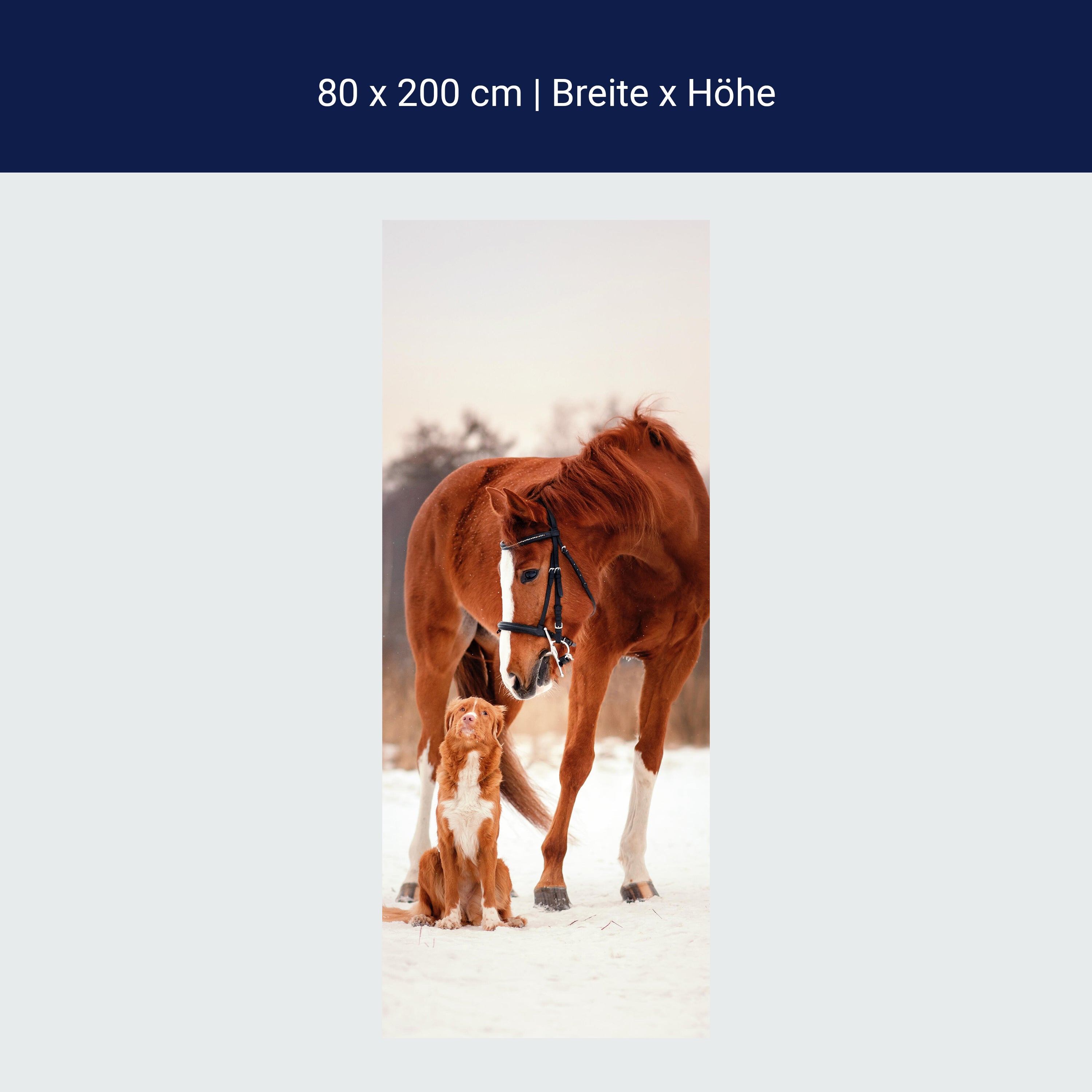 Türtapete Tierische Freunde Hund & Pferd, Tiere M1097 Türtapete Tierische Freunde Hund & Pferd, Tiere M1097