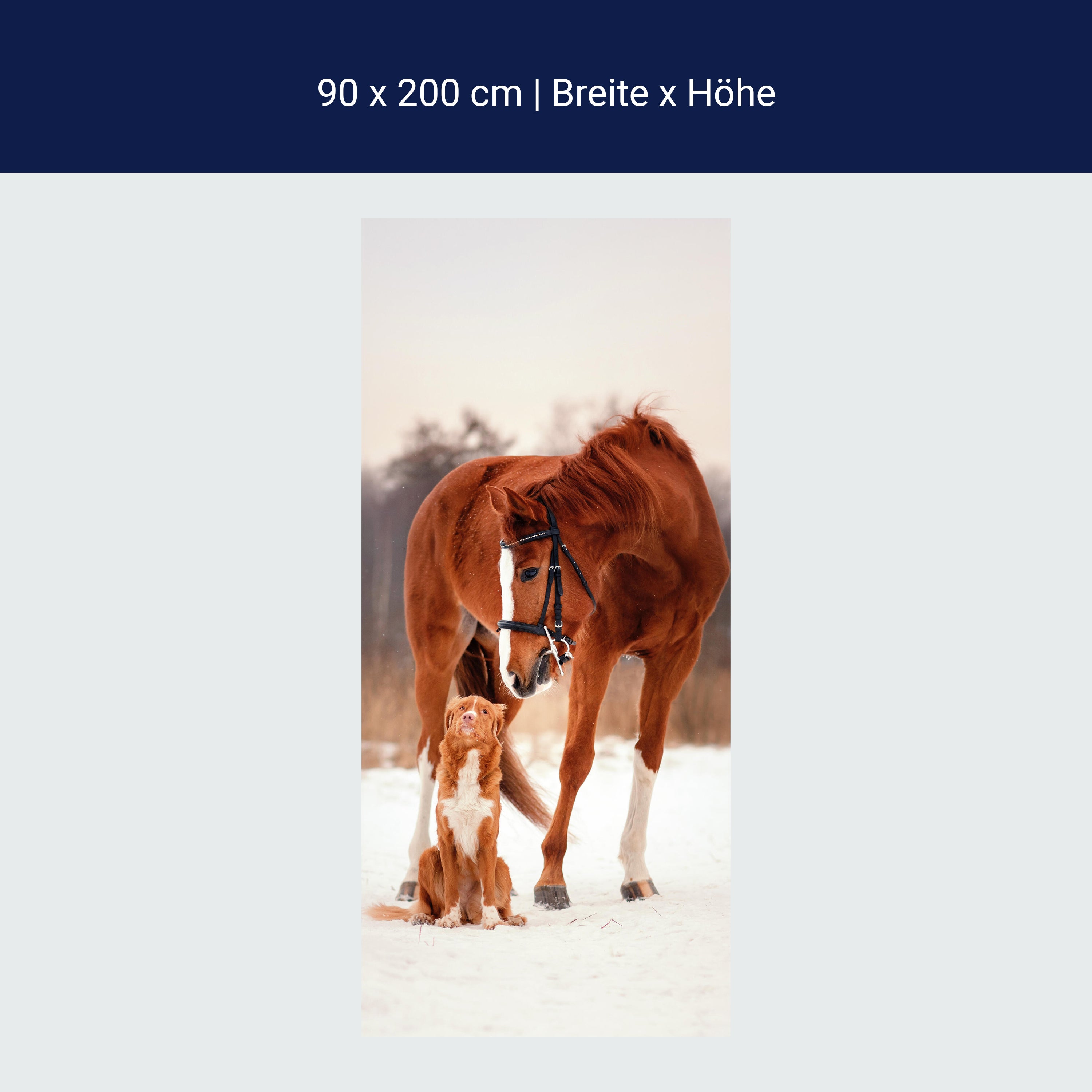 Türtapete Tierische Freunde Hund & Pferd, Tiere M1097 Türtapete Tierische Freunde Hund & Pferd, Tiere M1097