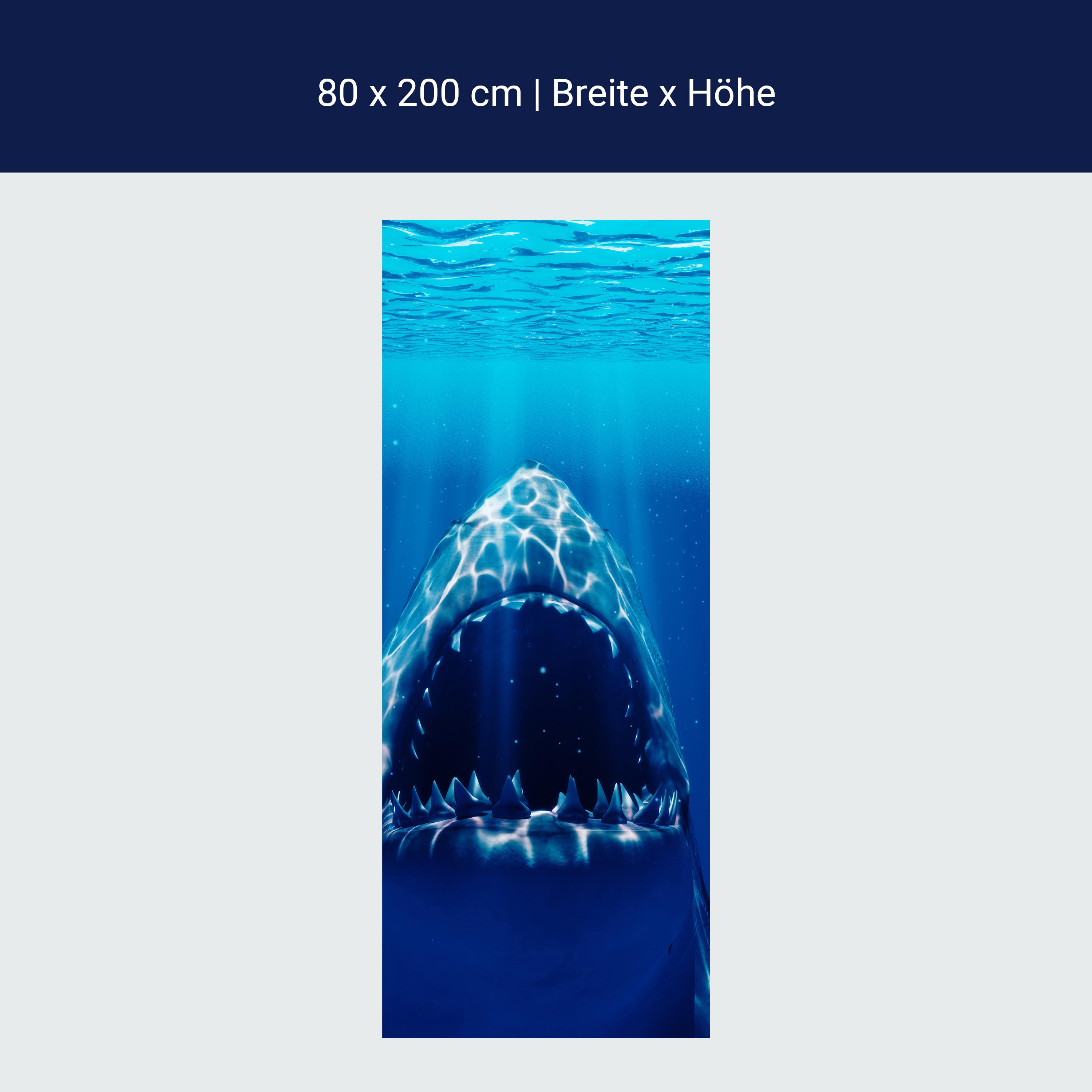 Türtapete Großer Weißer Hai Unter-wasser, Zähne M1107 Türtapete Großer Weißer Hai Unter-wasser, Zähne M1107