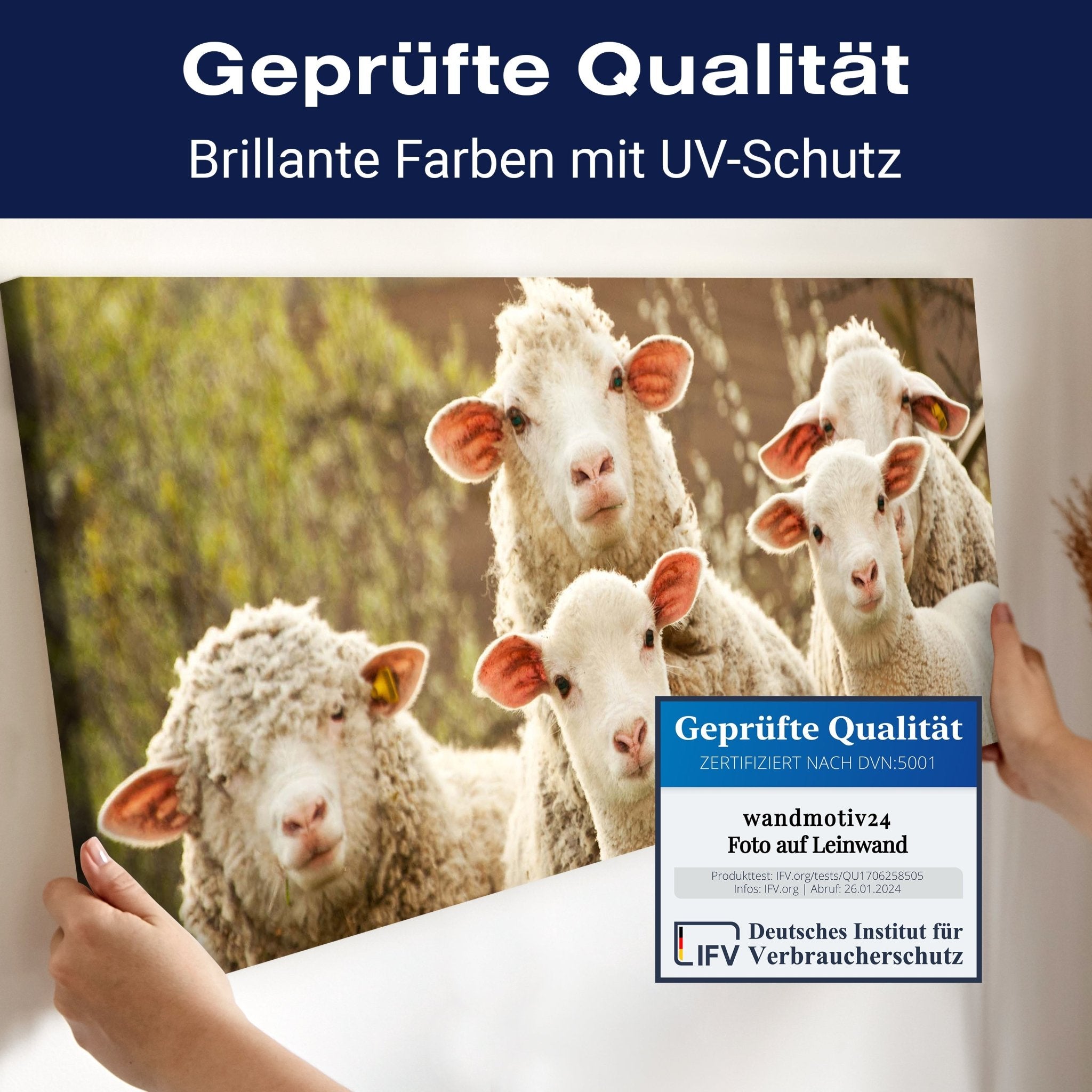 Leinwandbild Schaf, Tiere, Lämmer, Feld M1109 kaufen - Bild 4 Leinwandbild Schaf, Tiere, Lämmer, Feld M1109 kaufen - Bild 4