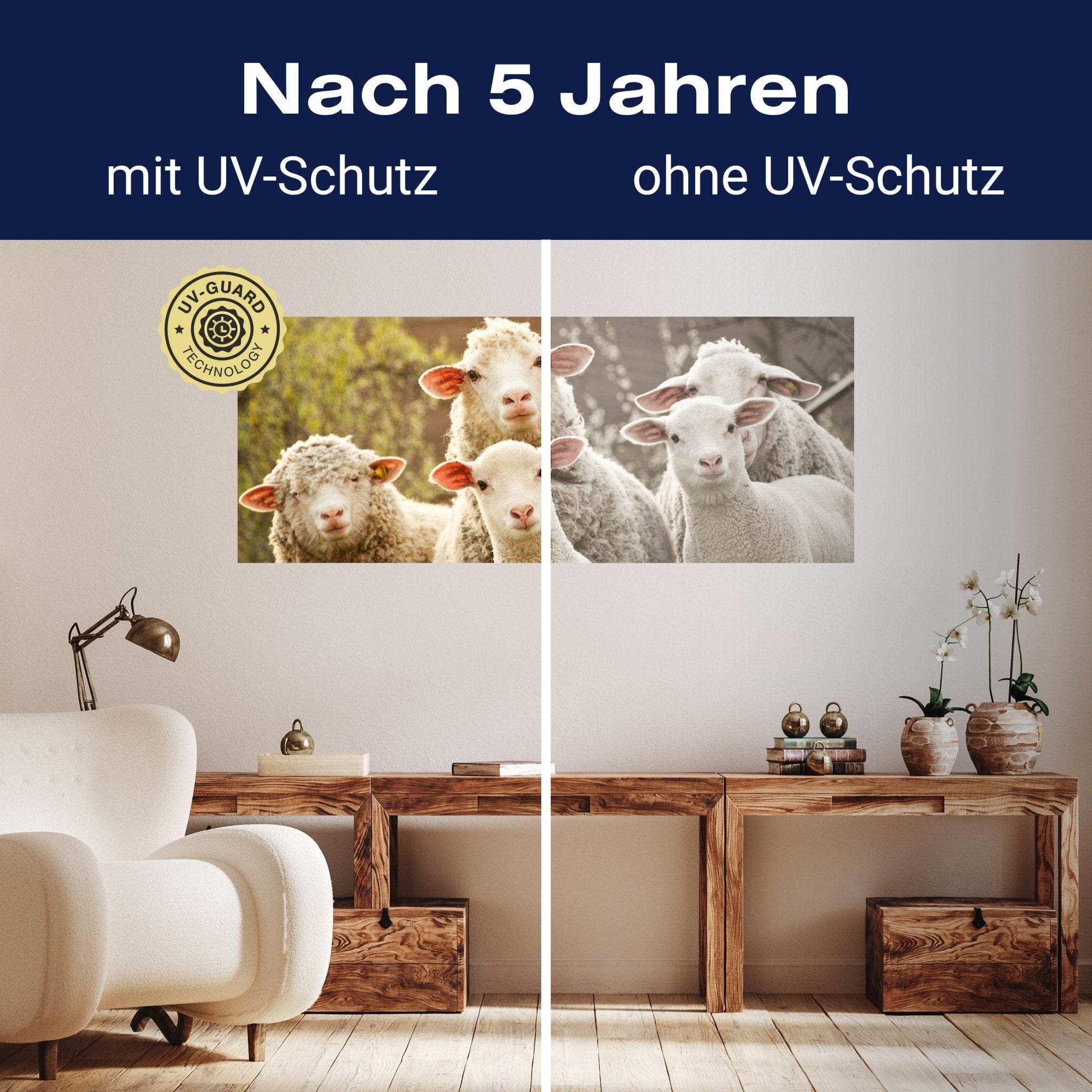 Leinwandbild Schaf, Tiere, Lämmer, Feld M1109 kaufen - Bild 9 Leinwandbild Schaf, Tiere, Lämmer, Feld M1109 kaufen - Bild 9