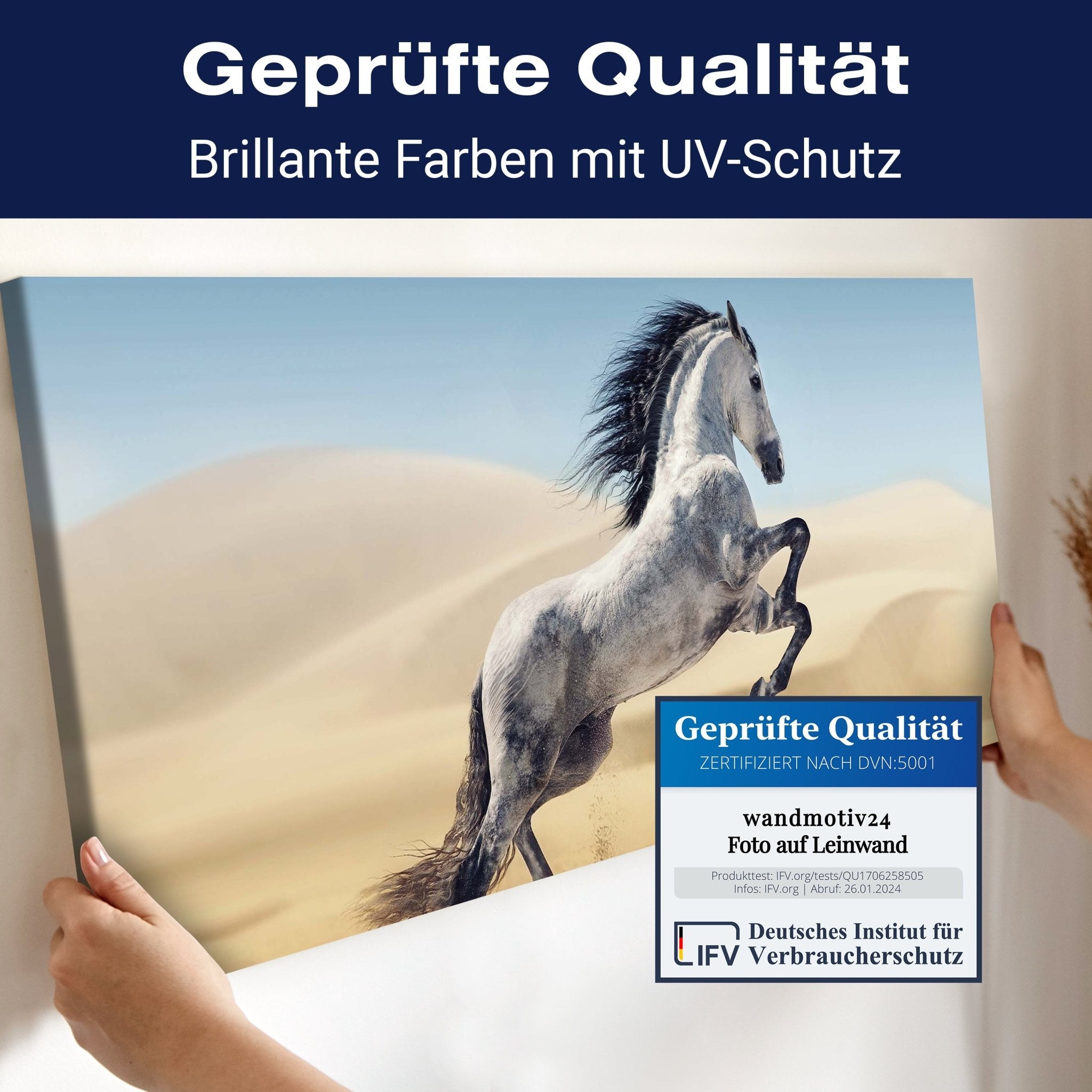 Leinwandbild Pferd, weiß, grau, Sand, Wüste M1110 kaufen - Bild 4 Leinwandbild Pferd, weiß, grau, Sand, Wüste M1110 kaufen - Bild 4