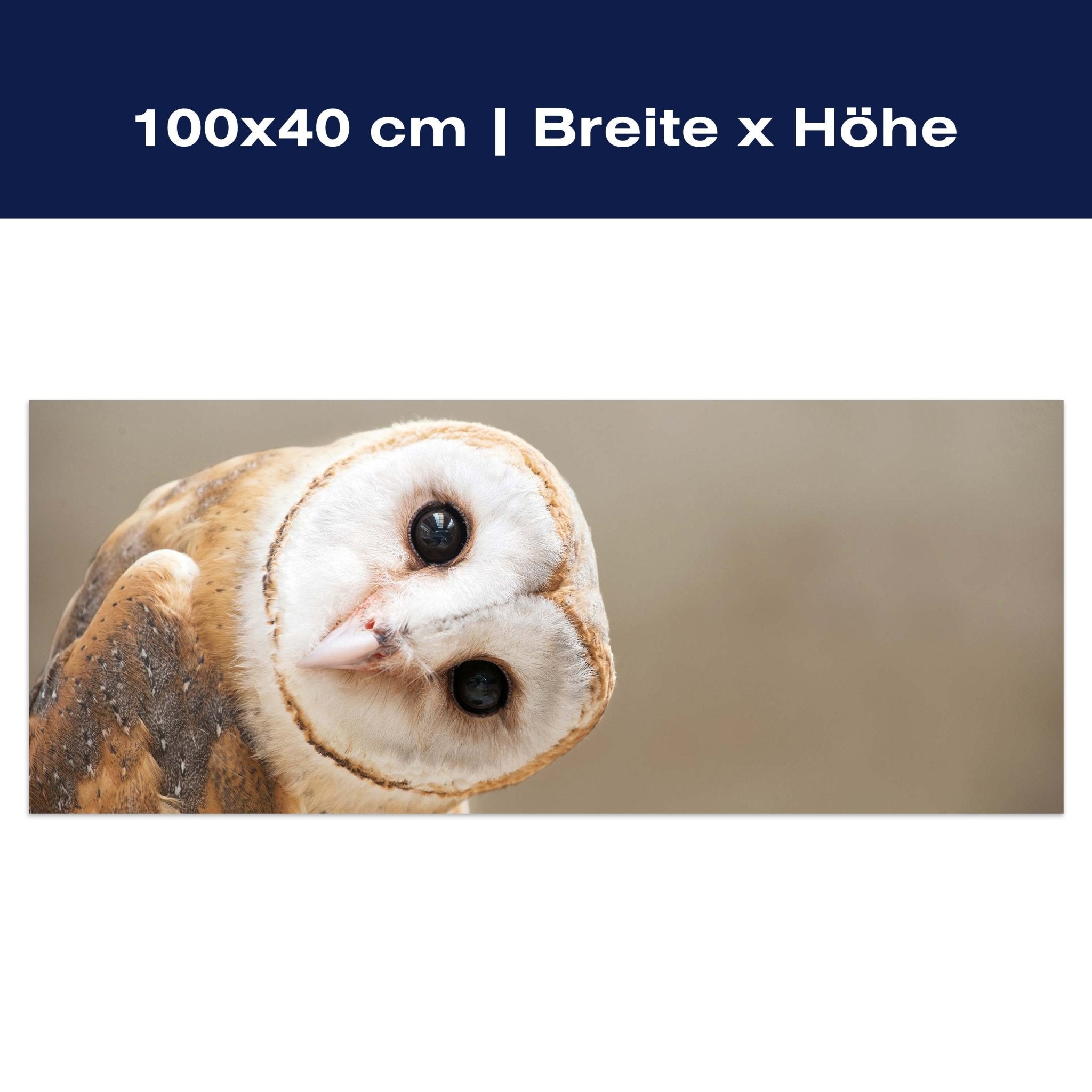 Leinwandbild Eule, Kauz, Tier, Vogel M1112 Leinwandbild Eule, Kauz, Tier, Vogel M1112