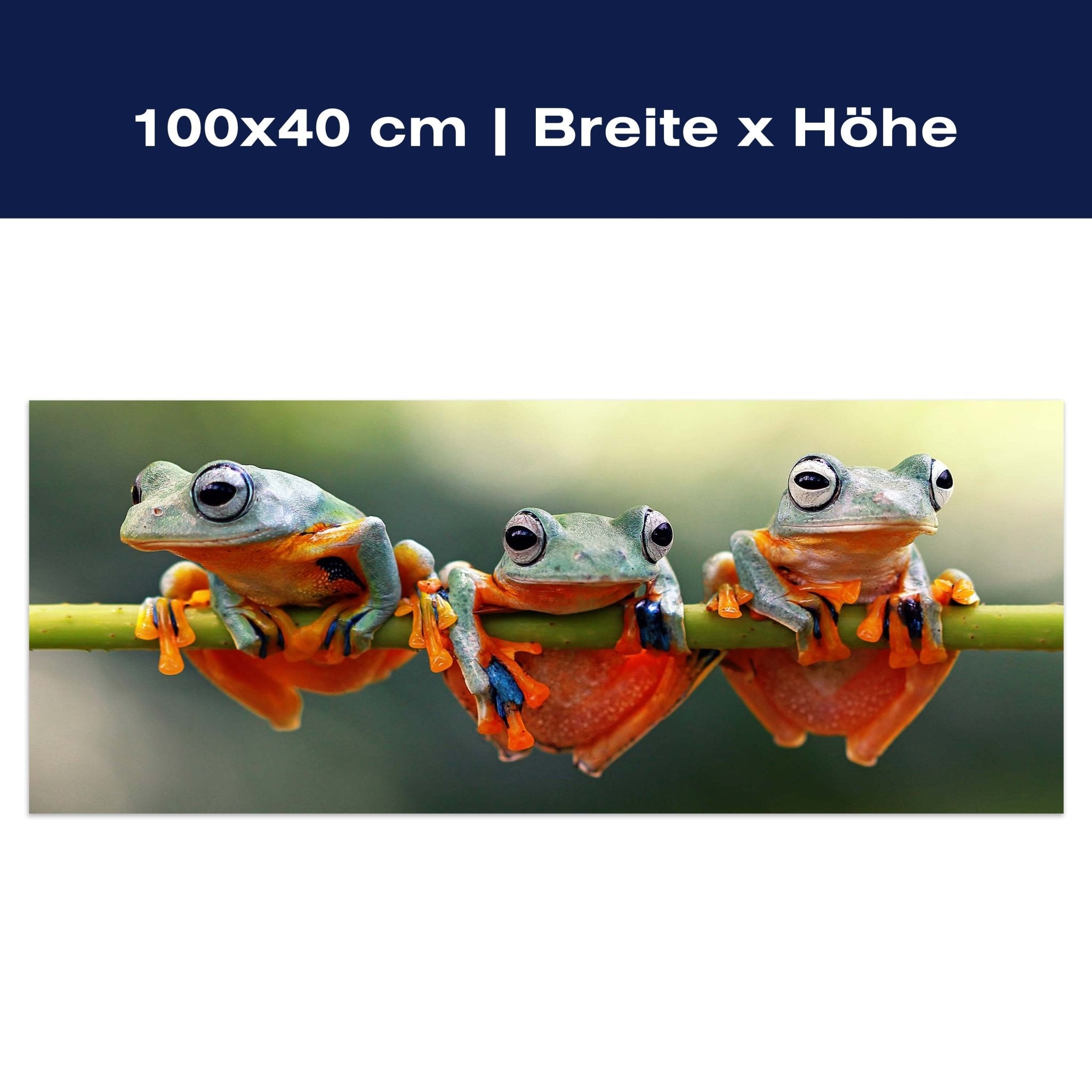 Leinwandbild Frosch, Frösche, Zweig, grün, orange M1113 Leinwandbild Frosch, Frösche, Zweig, grün, orange M1113