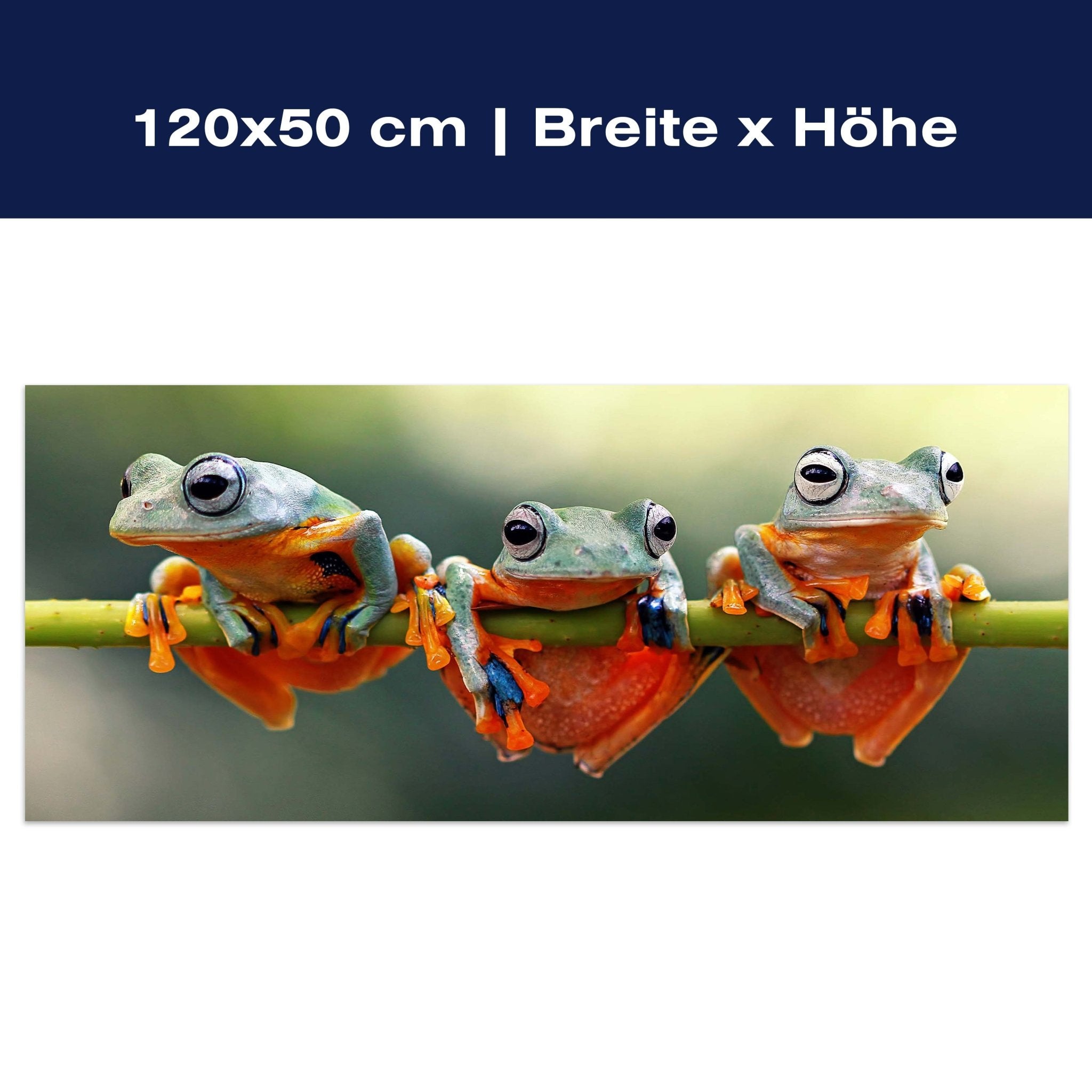 Leinwandbild Frosch, Frösche, Zweig, grün, orange M1113 Leinwandbild Frosch, Frösche, Zweig, grün, orange M1113