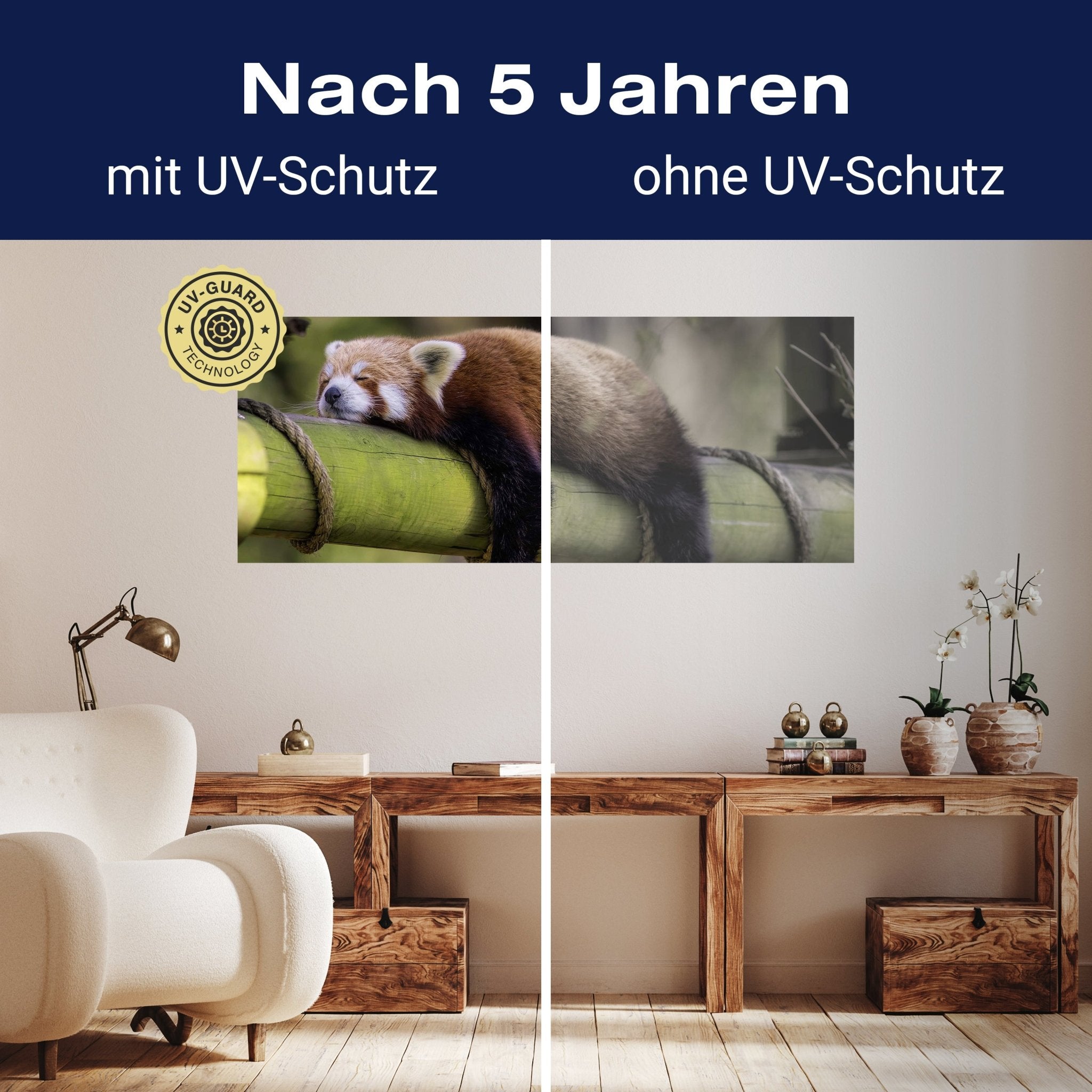 Leinwandbild schlafender roter Panda, Bambus M1114 kaufen - Bild 9 Leinwandbild schlafender roter Panda, Bambus M1114 kaufen - Bild 9