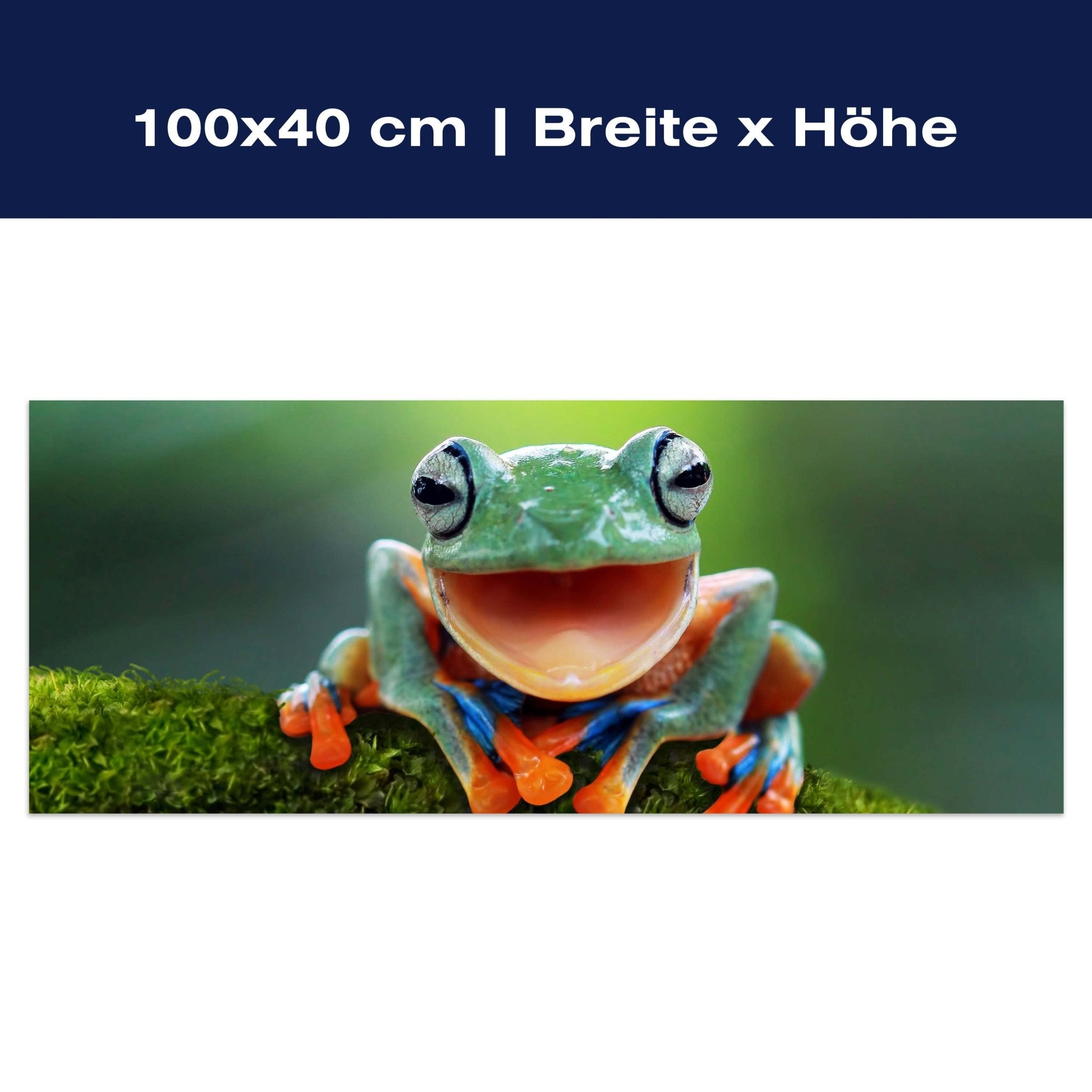 Leinwandbild grüner Frosch, Tier, Moos M1115 Leinwandbild grüner Frosch, Tier, Moos M1115