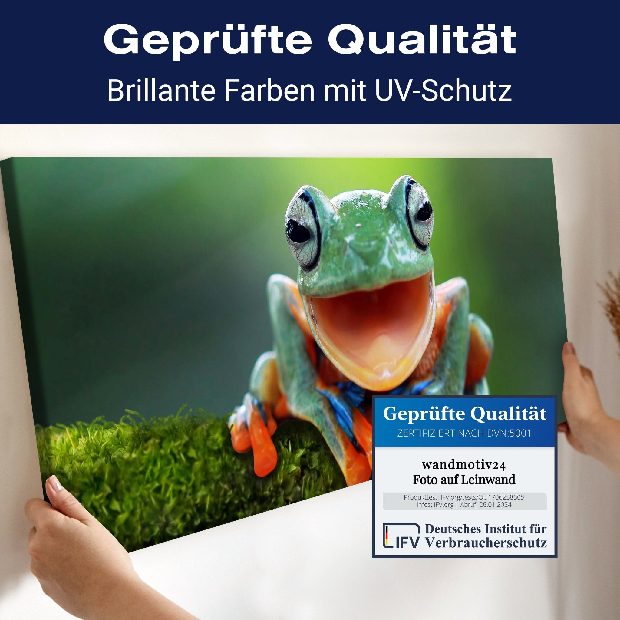 Leinwandbild grüner Frosch, Tier, Moos M1115 kaufen - Bild 4 Leinwandbild grüner Frosch, Tier, Moos M1115 kaufen - Bild 4