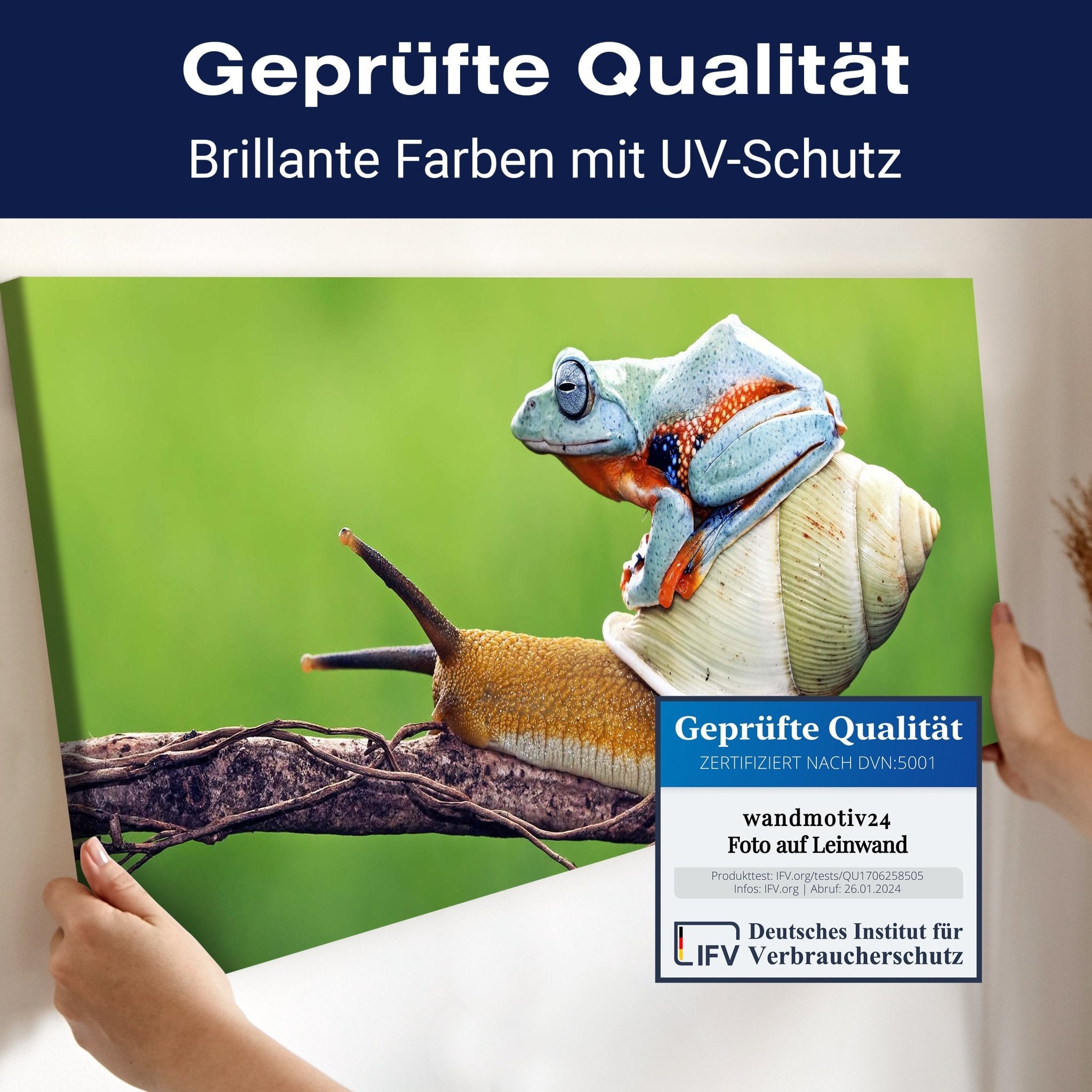 Leinwandbild Frosch, Schnecke, Tiere M1116 kaufen - Bild 4 Leinwandbild Frosch, Schnecke, Tiere M1116 kaufen - Bild 4