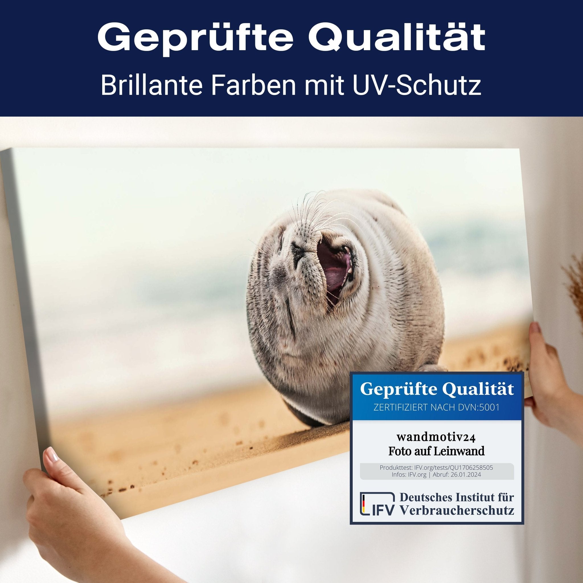 Leinwandbild Robbe, Seehund, Strand, Tier M1119 kaufen - Bild 4 Leinwandbild Robbe, Seehund, Strand, Tier M1119 kaufen - Bild 4