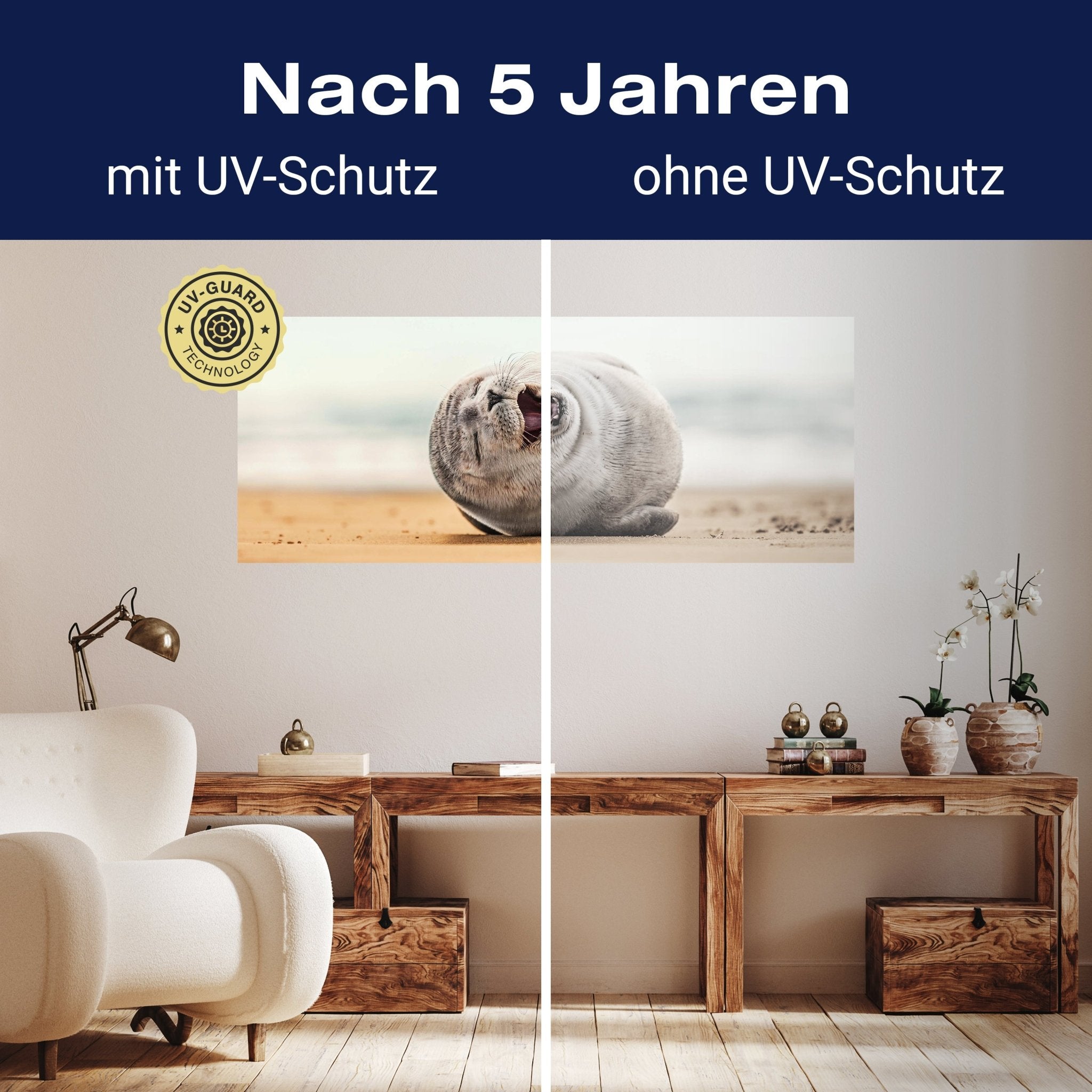 Leinwandbild Robbe, Seehund, Strand, Tier M1119 kaufen - Bild 9 Leinwandbild Robbe, Seehund, Strand, Tier M1119 kaufen - Bild 9