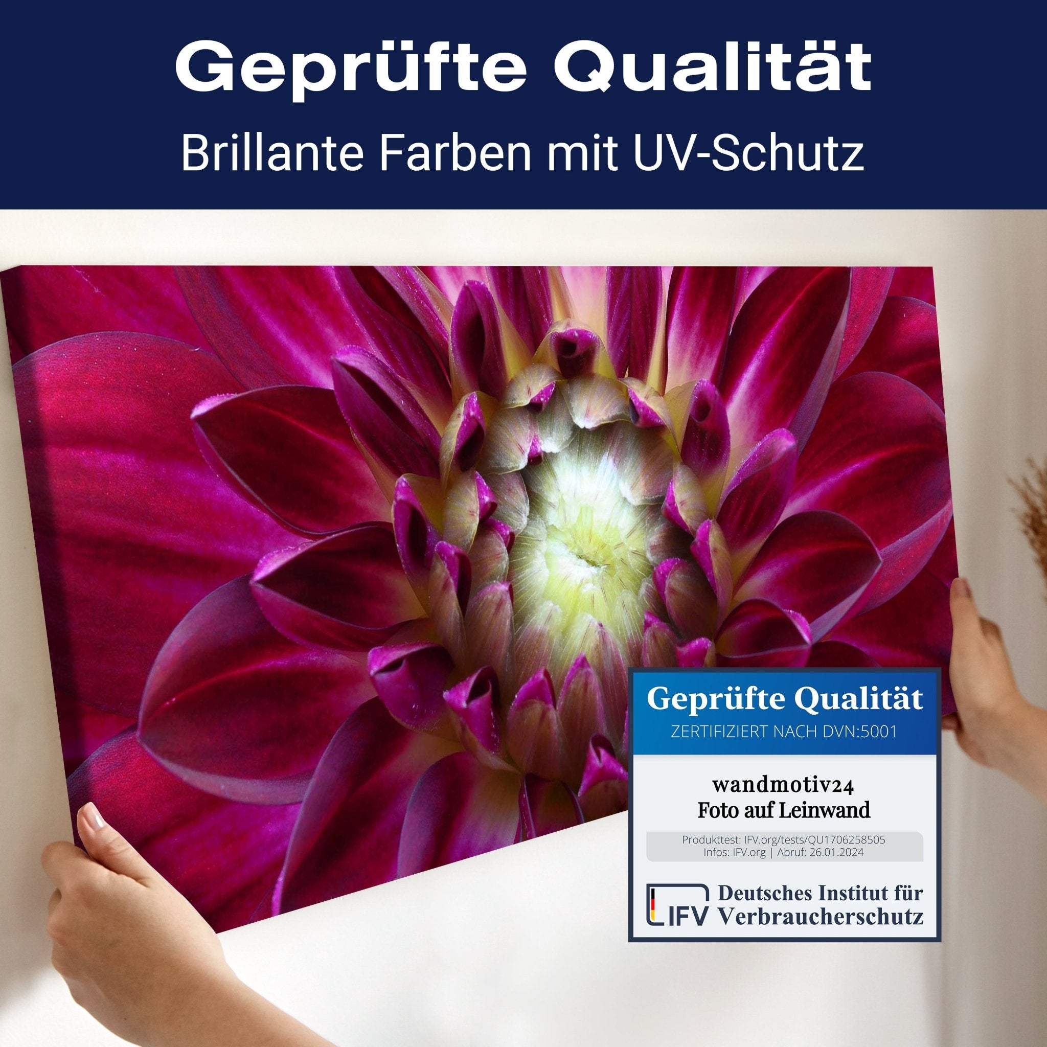 Leinwandbild Blume Blüte Aster pink M1122 kaufen - Bild 4 Leinwandbild Blume Blüte Aster pink M1122 kaufen - Bild 4